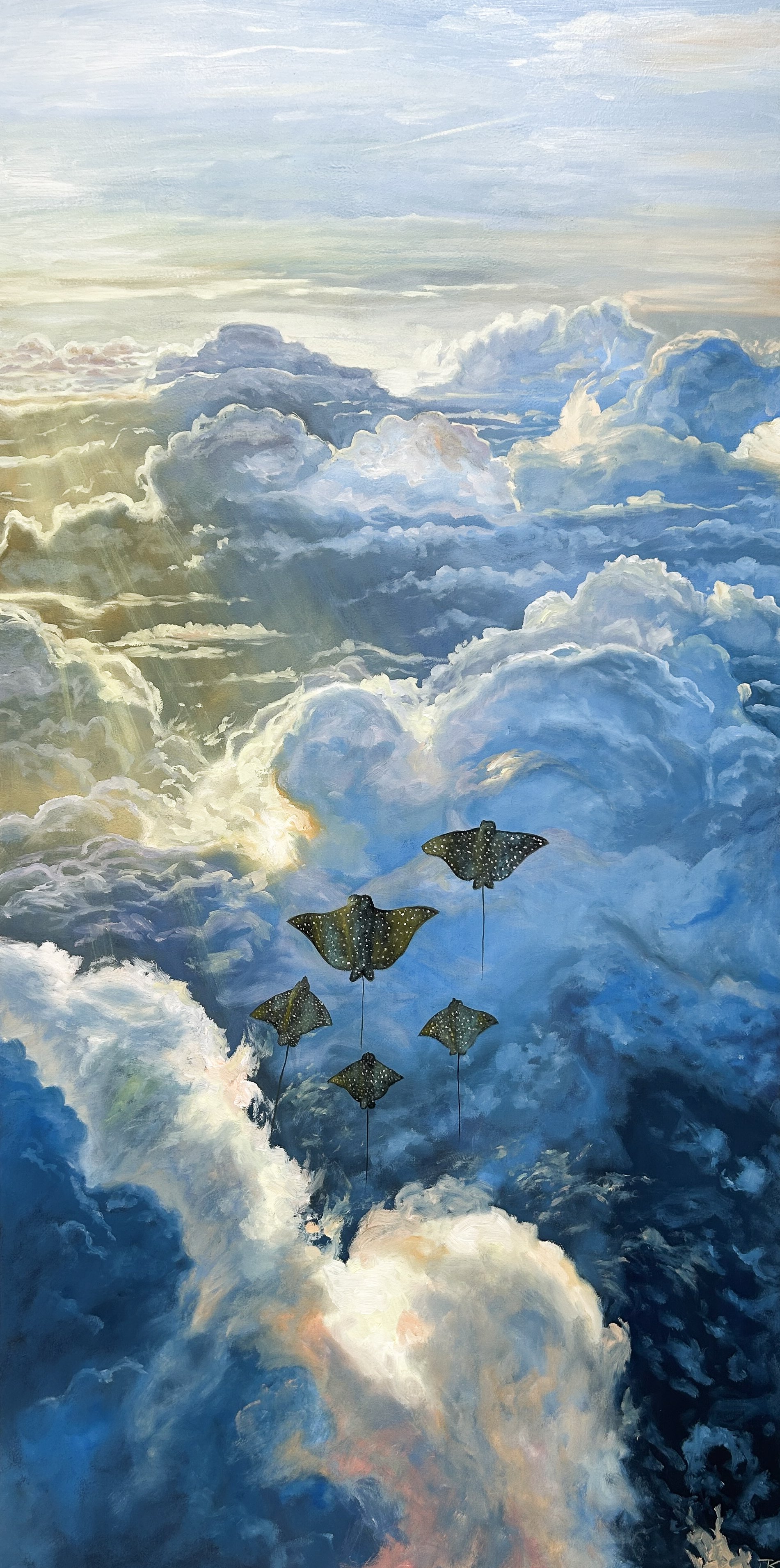 Flight of the Rays