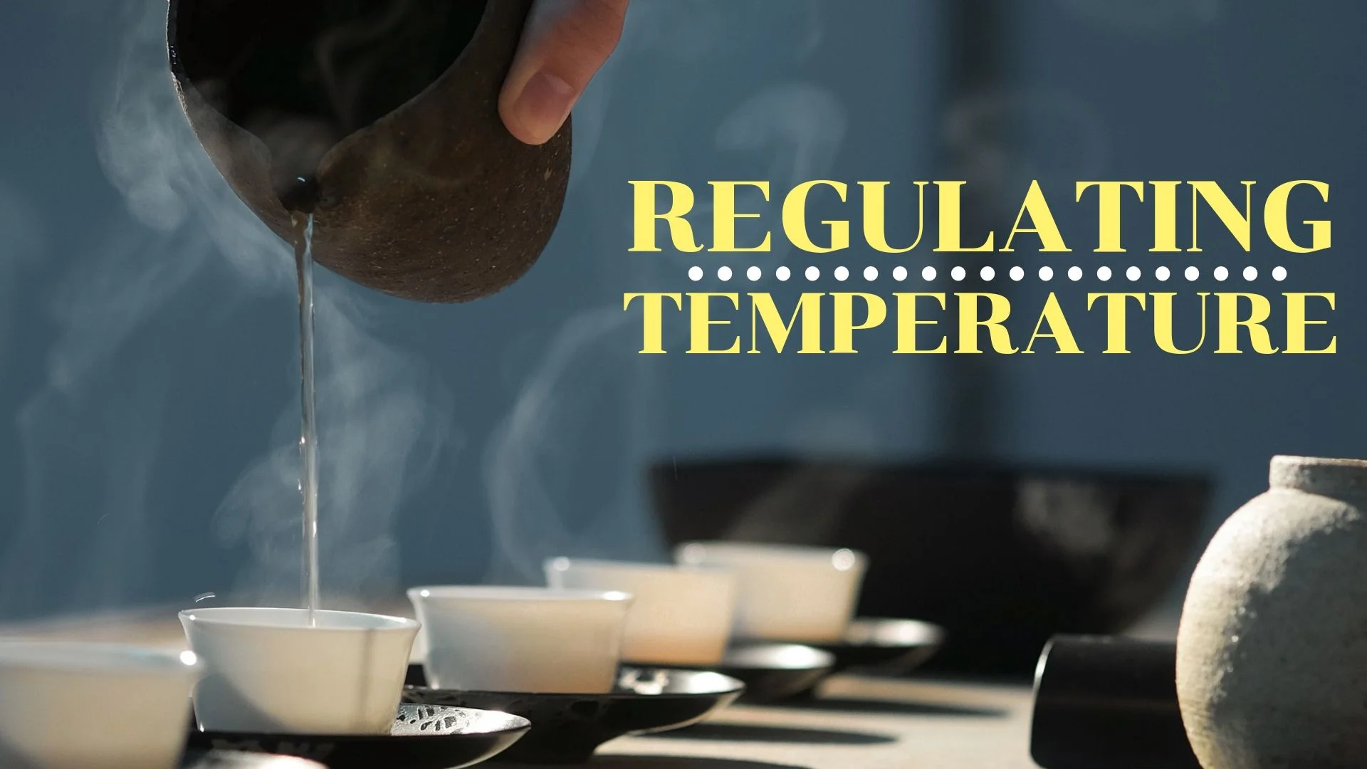 Regulating Temperature.jpg