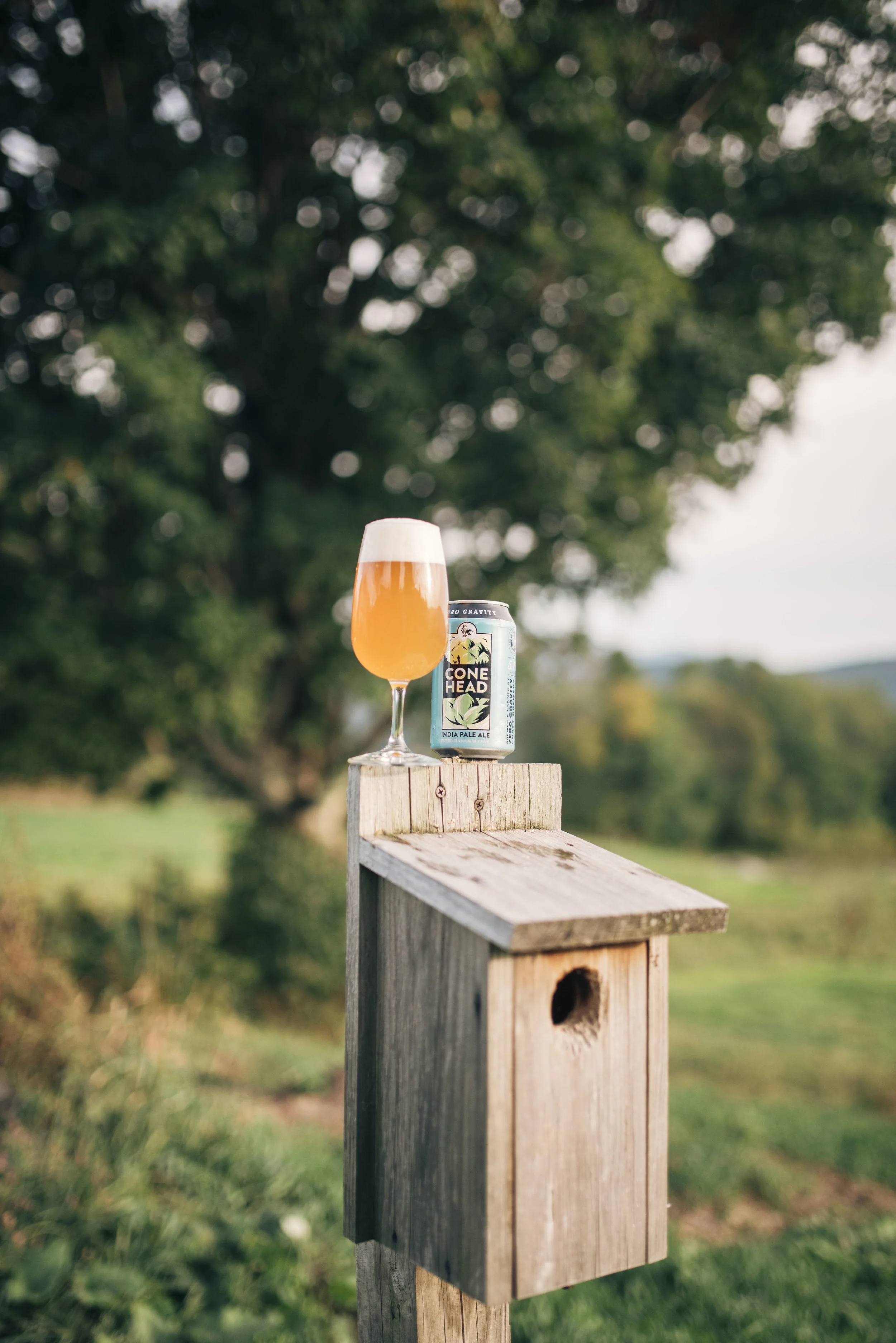 A glass of orange-colored beer with a foamy head on top, placed on a wooden railing outdoors with a blurred background of green trees and sky.