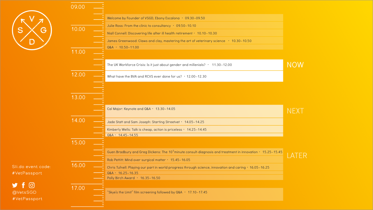 VSGD Live Stream Programme ident