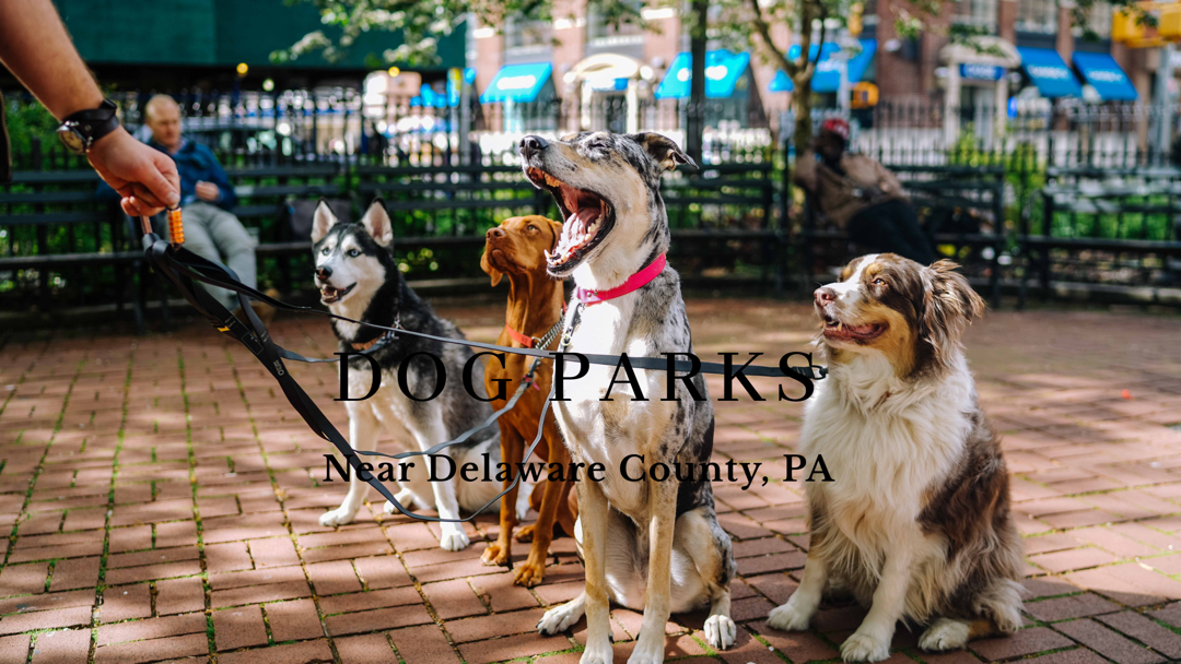 Dog Parks near Delaware County, PA