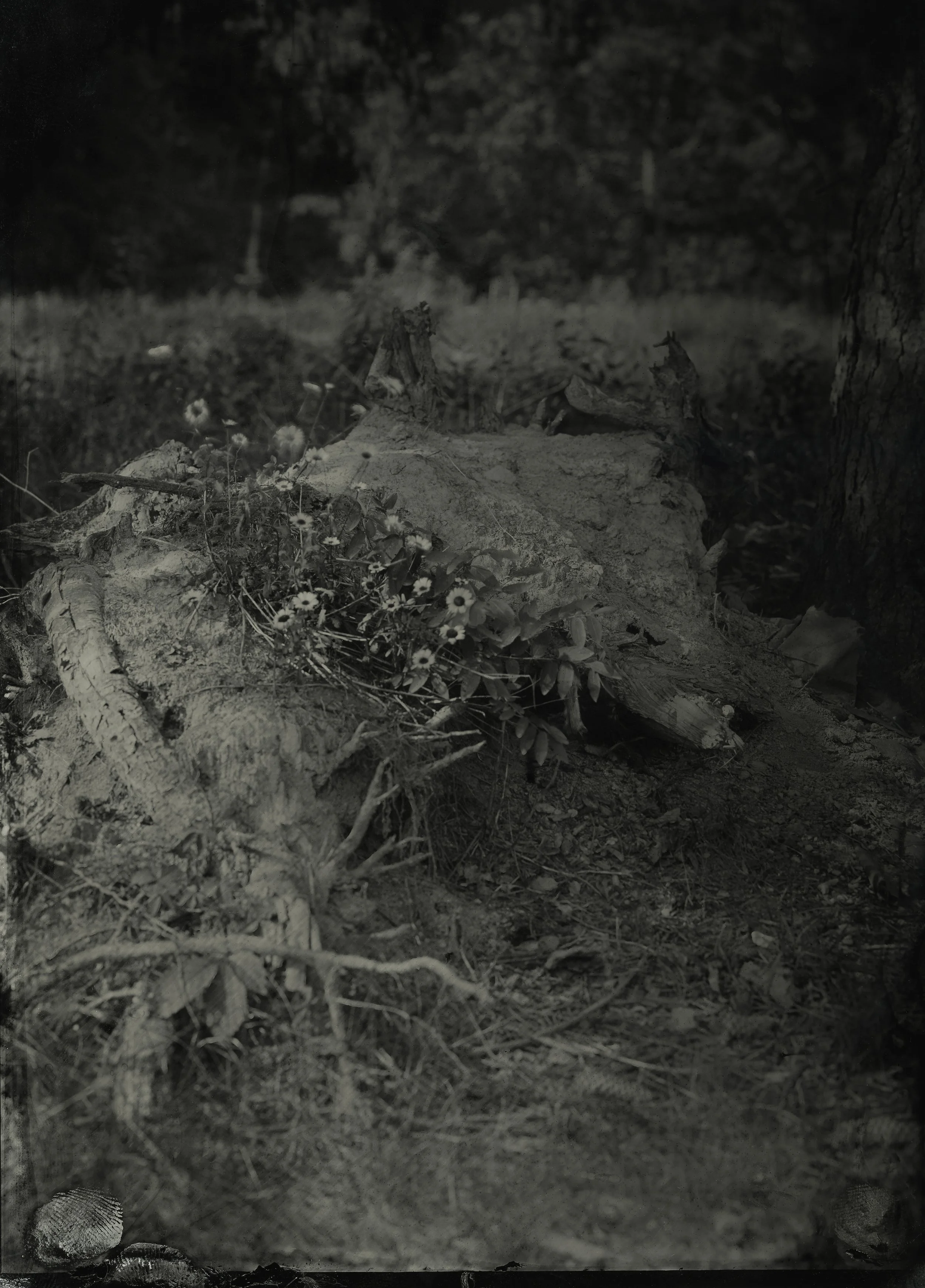 Print.Eulogy copy.jpg