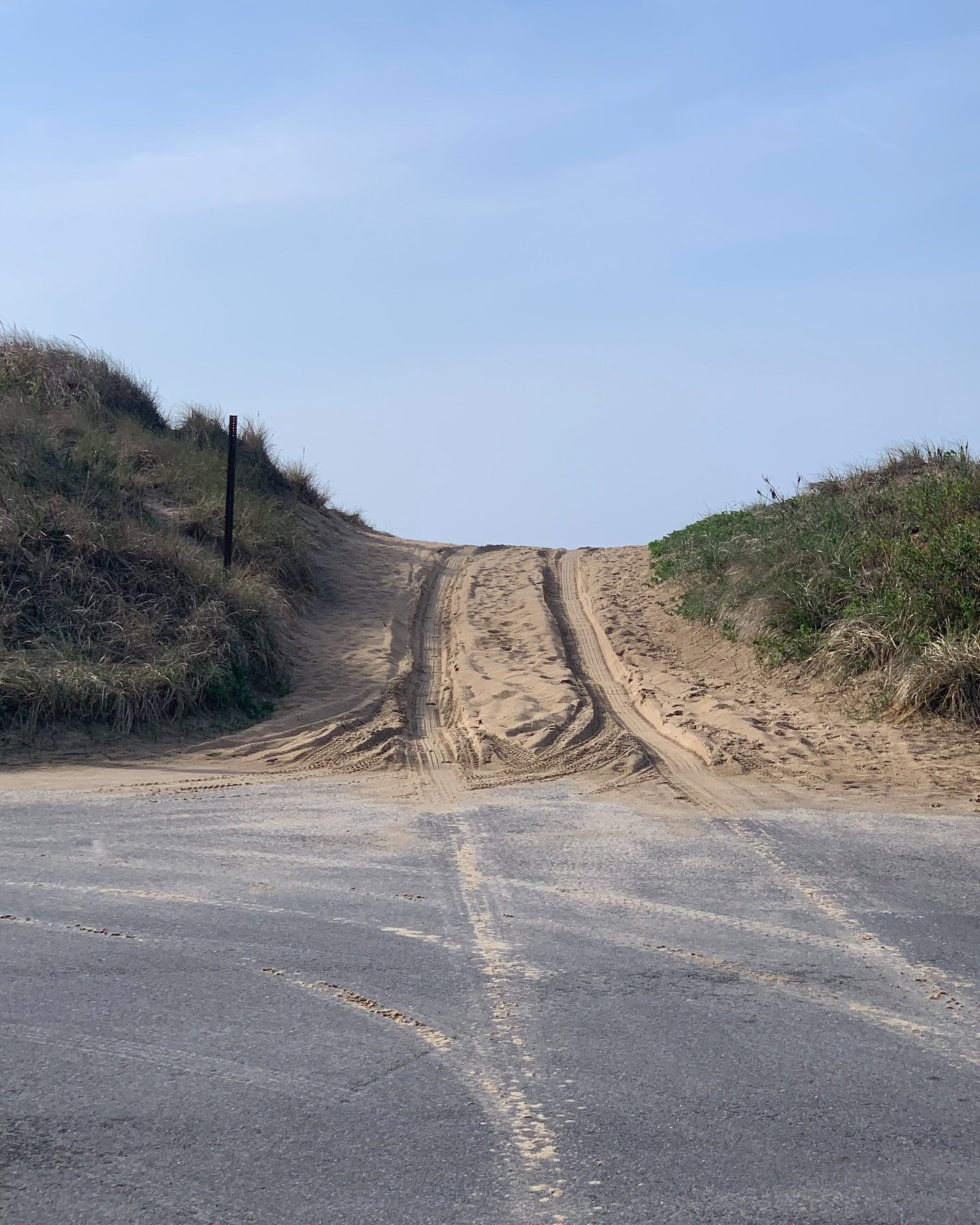 Spring snaps, in no particular order. Love it here. #spring #montauk #designbuildsurf🌊🛠️🤙