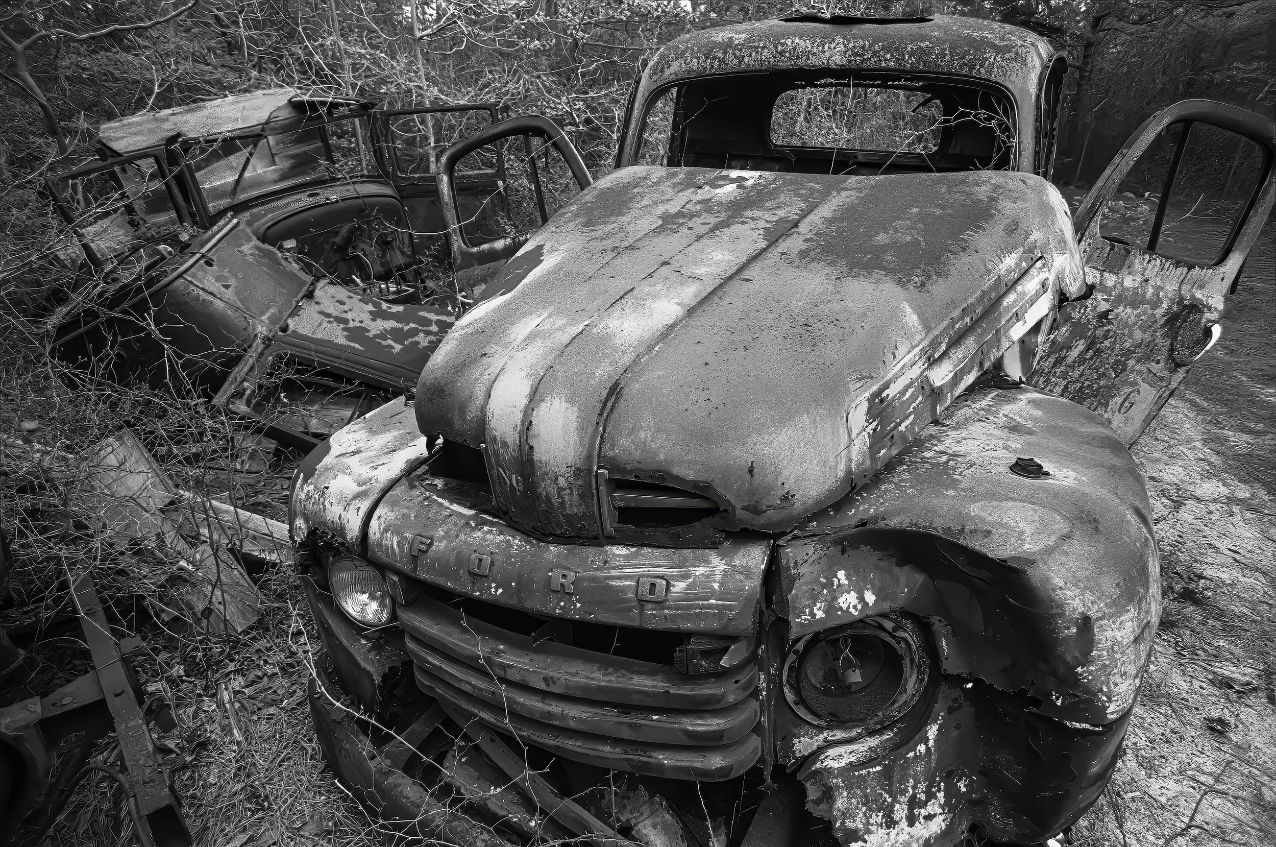 Old Fords #2, Holly Wood Beach Fire Island, New York, 1983