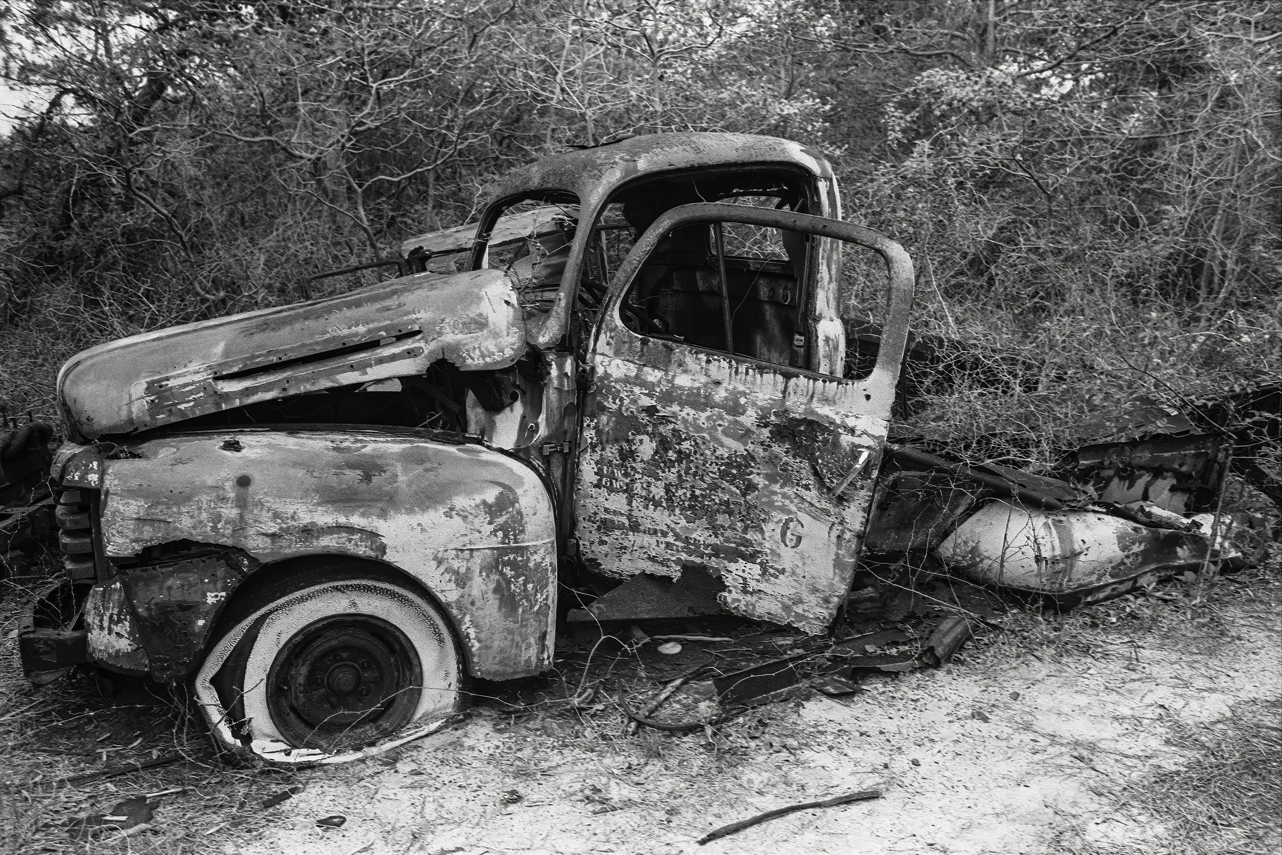 Old Fords #1, Holly Wood Beach Fire Island, New York, 1983