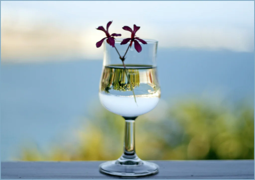 verre-eau-kinesiologie.jpg
