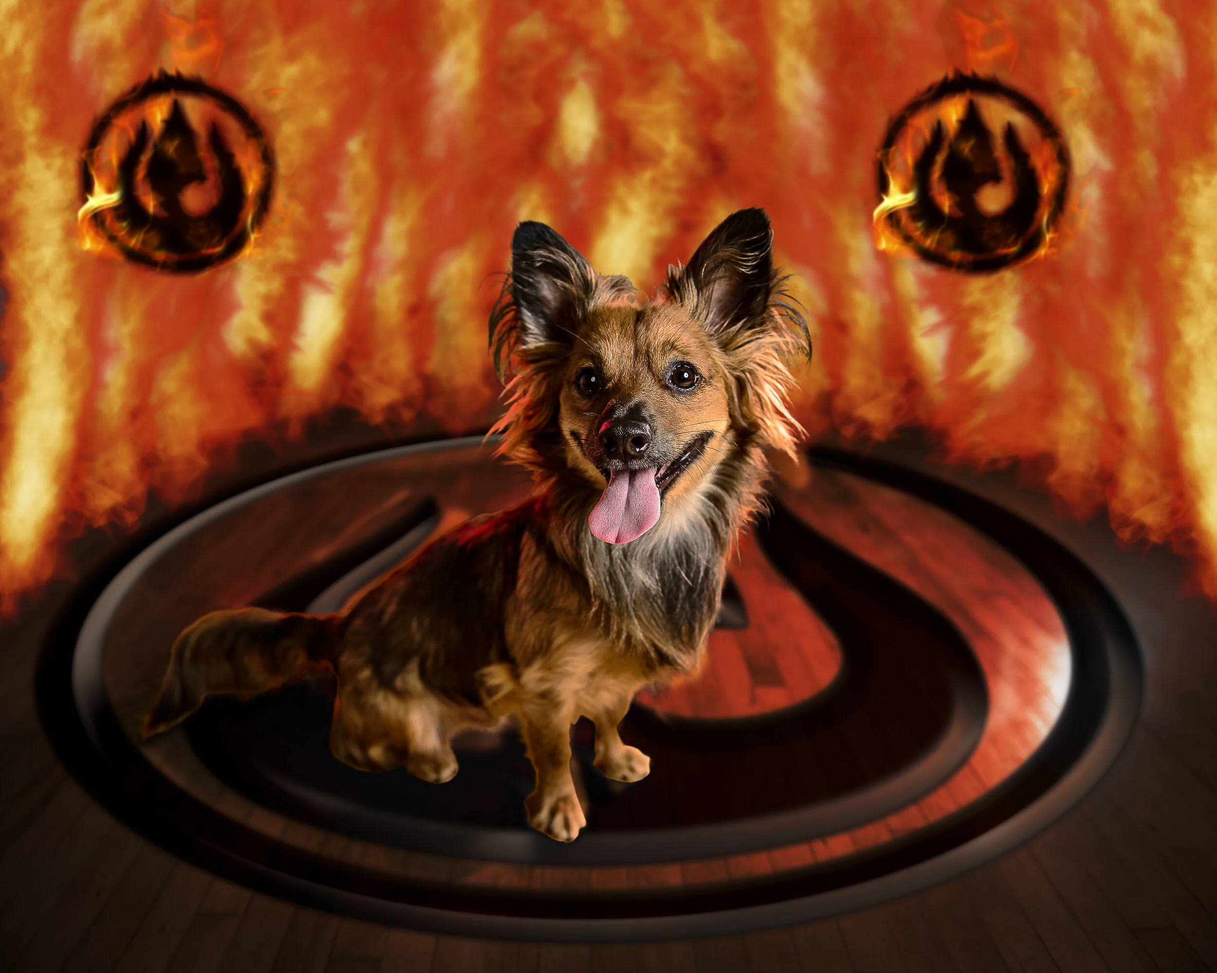 Zuko The Fire Bender