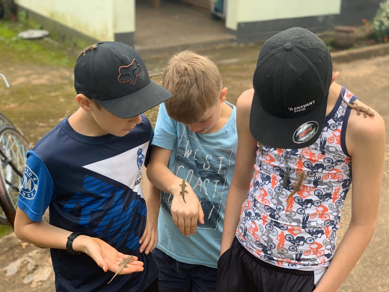 Catching lizards has been one of the highlights for these boys.