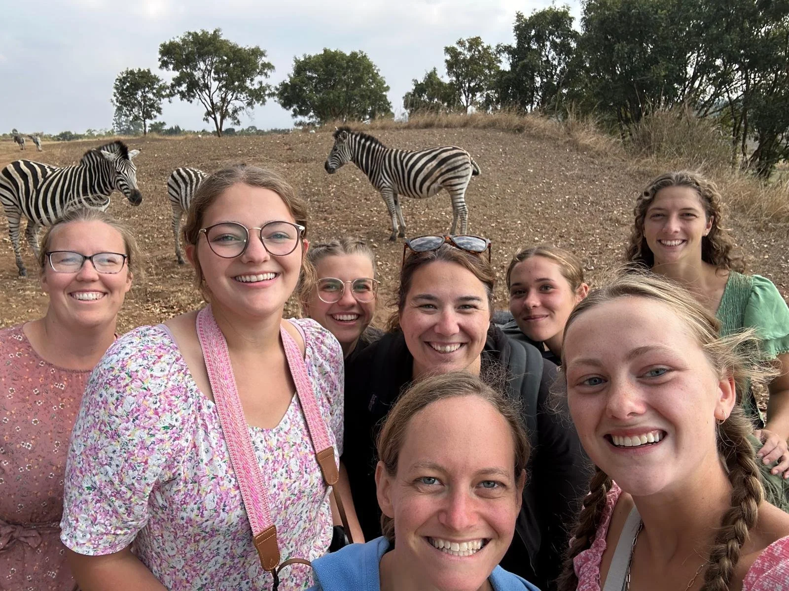 Sharks, Safaris, and Sunset Swims