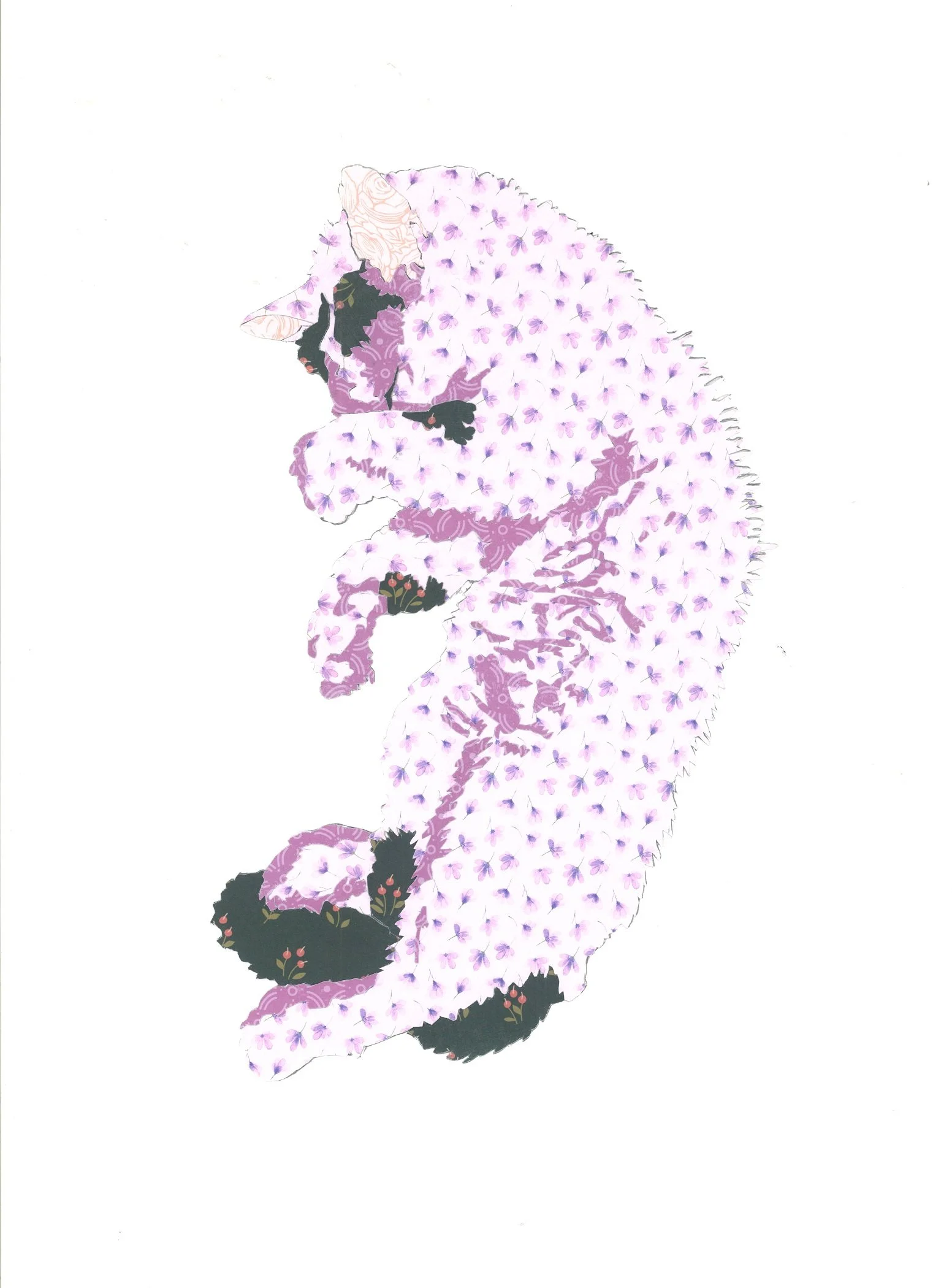 Garvey_Lavender Catnap_2.jpg