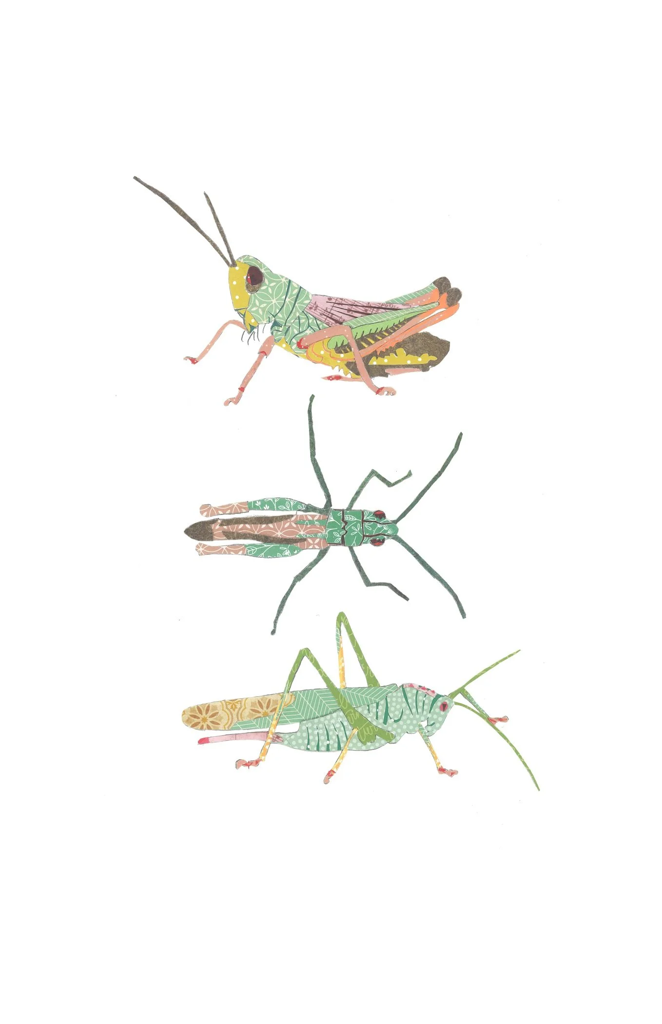 Garvey-Tiny Wonders-paper-11 x 15 inches-$750.jpg