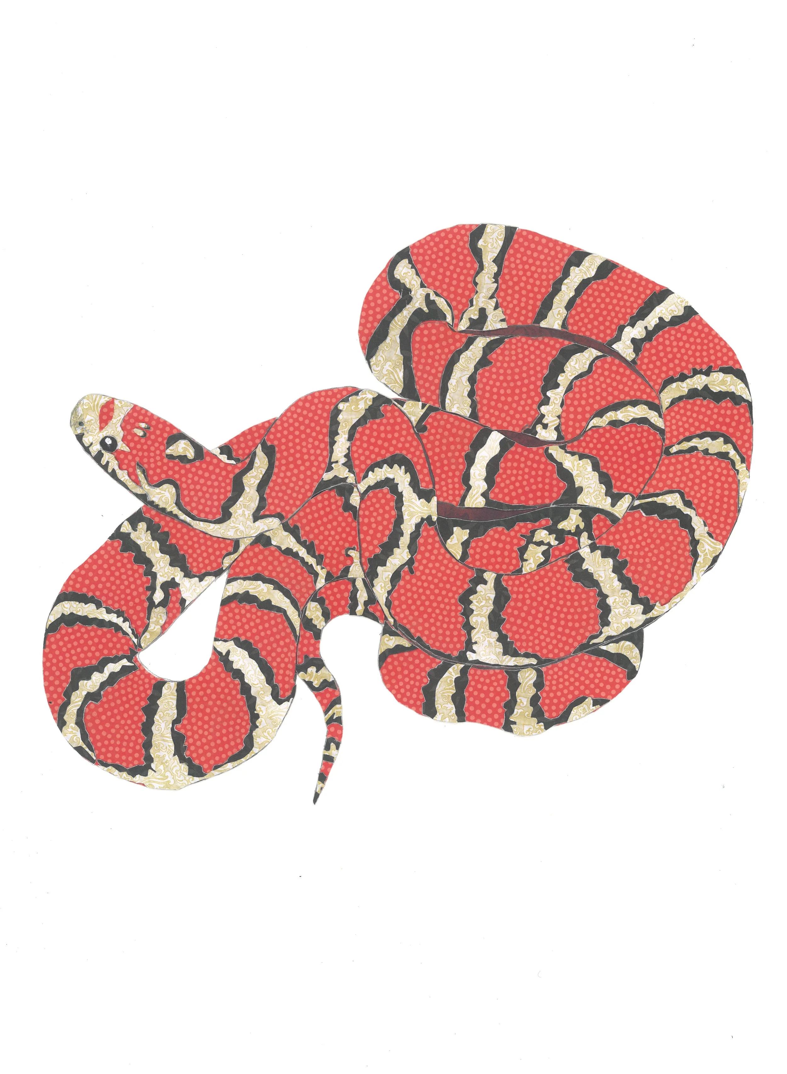 Shy Guy-paper-11 x 15 inches.jpg