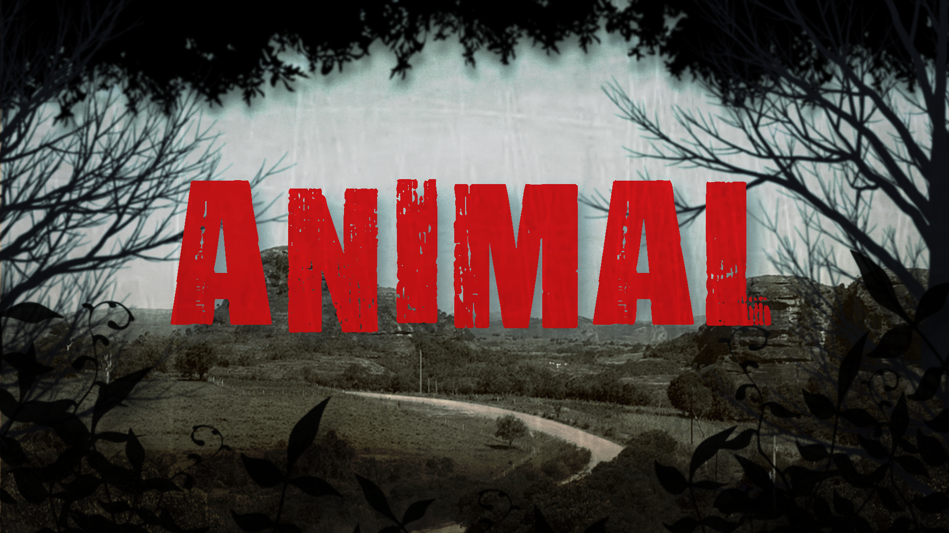 Animal