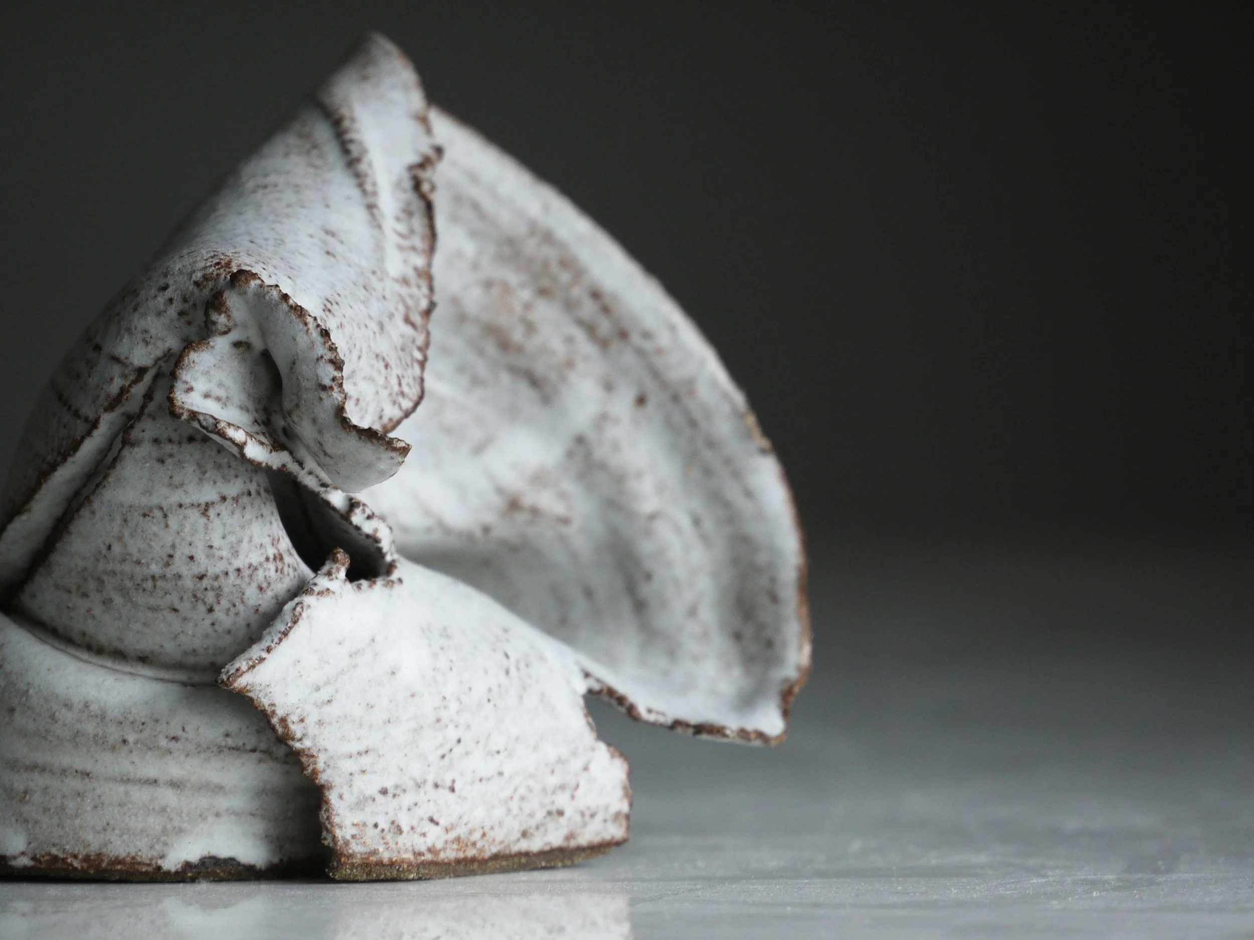 Intentional Acts, Final Adjudication Standards, and the Duty to Defend Under D&amp;O Policies