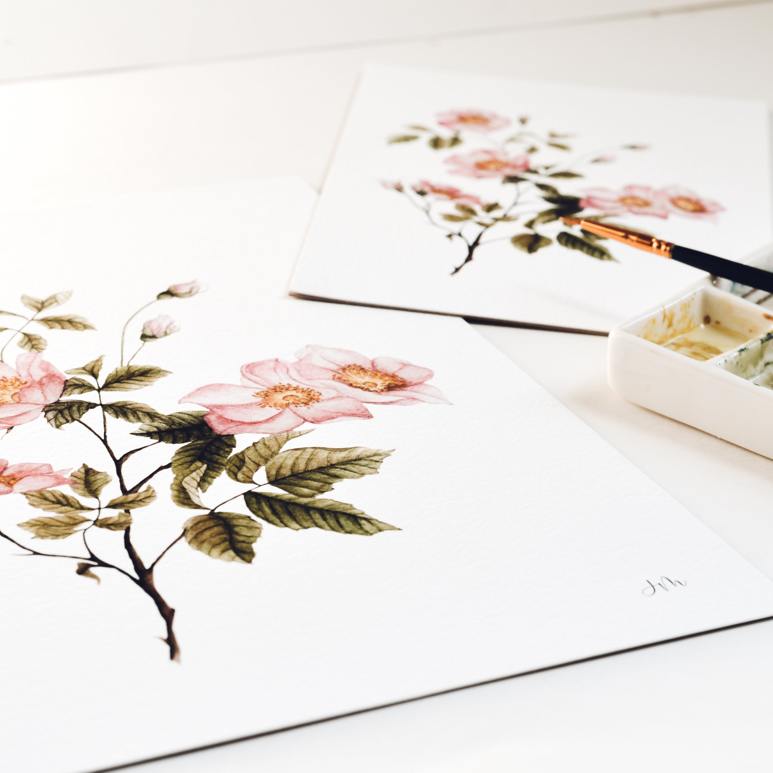 Spring Collection Rose Final 4.jpg