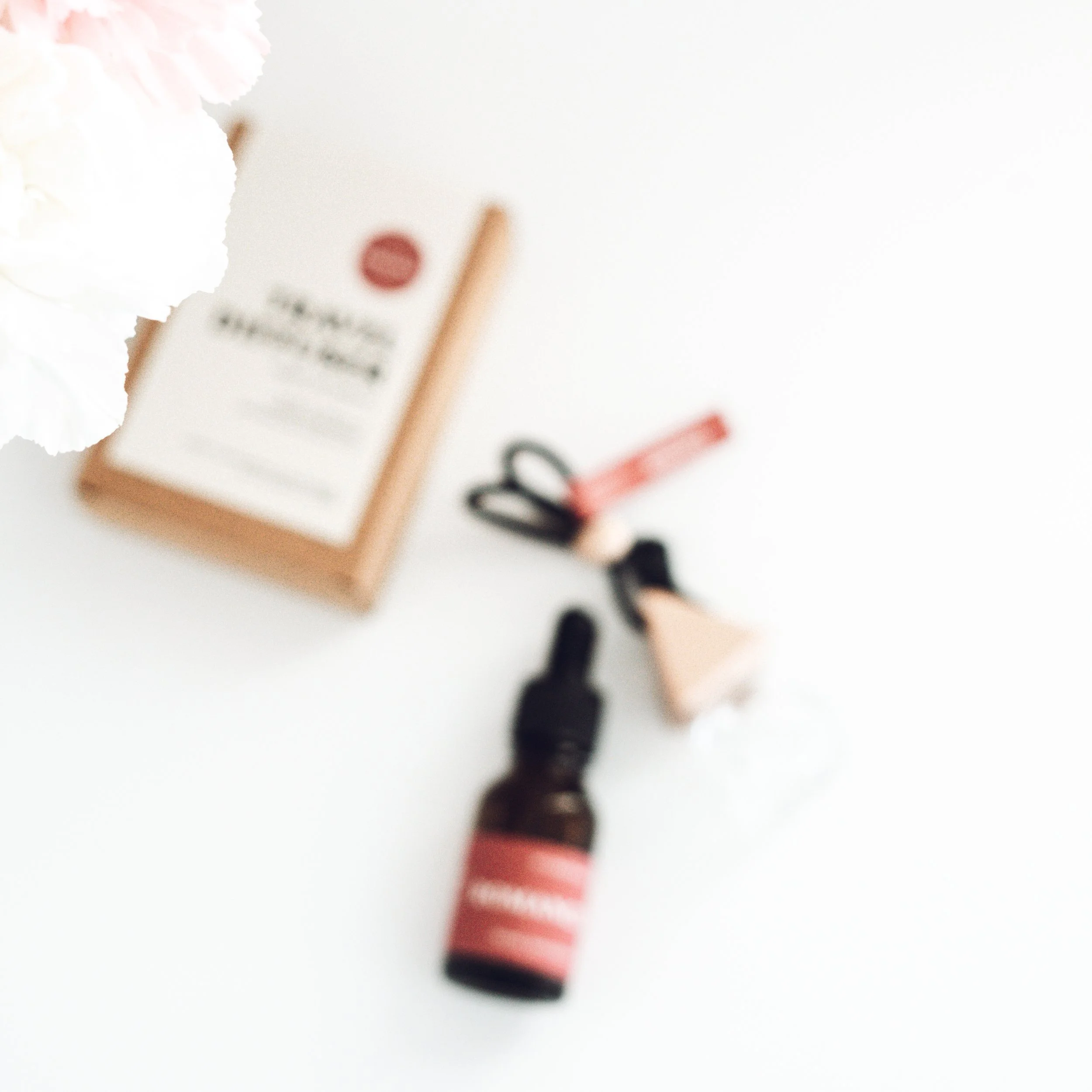 Valentines Photo Travel EXTRAS 1.jpg