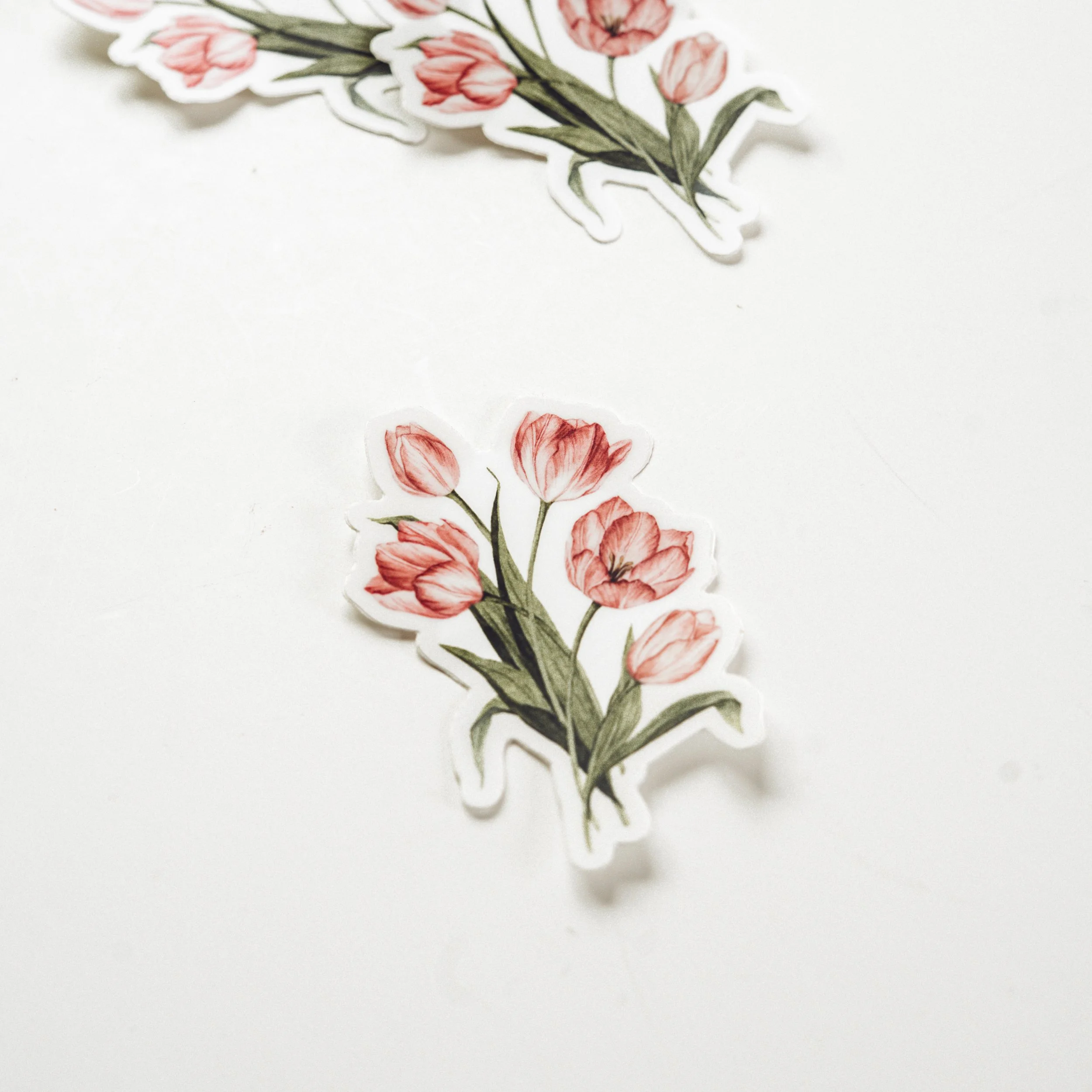 Tulip Sticker COVER.jpg
