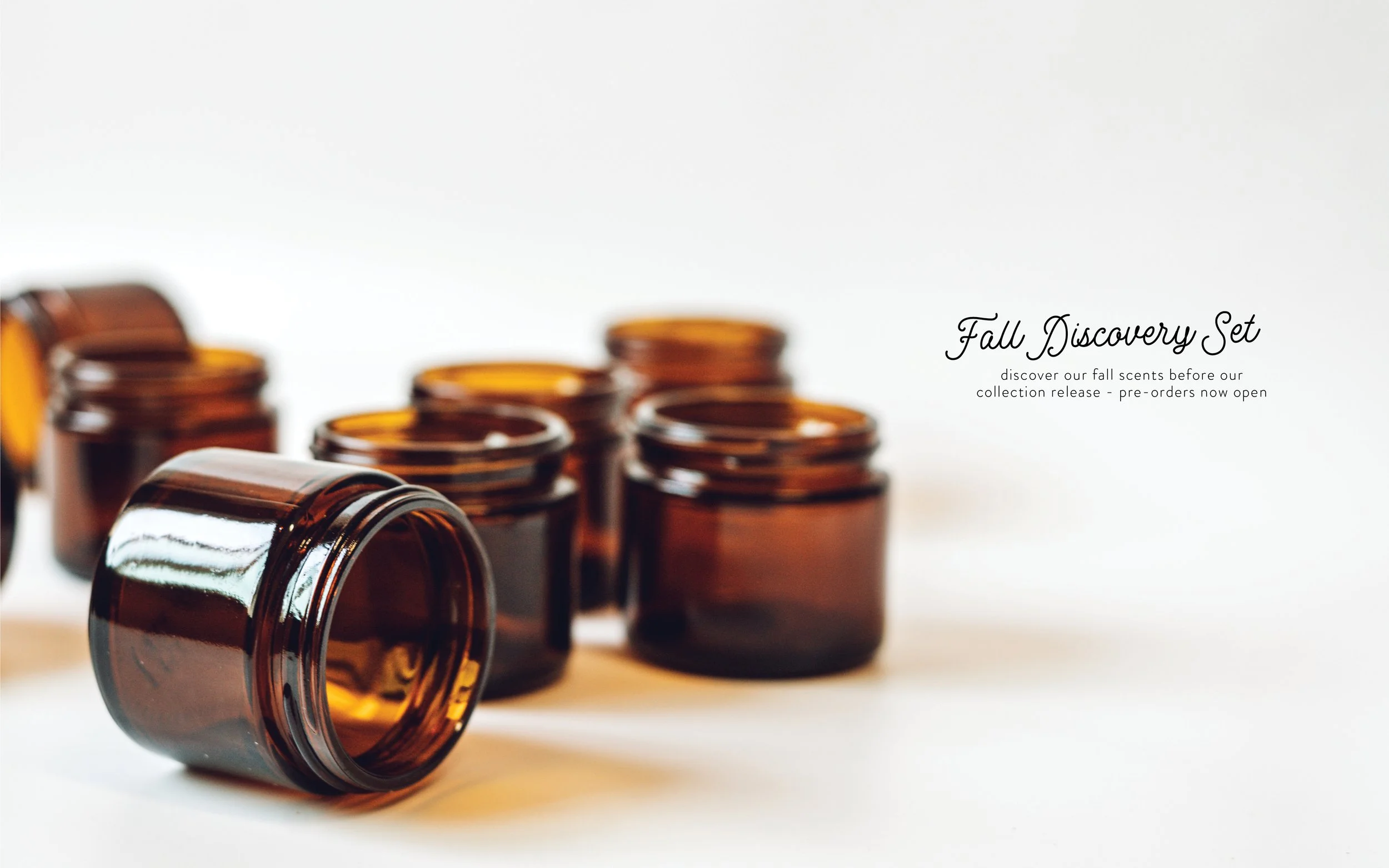Fall discovery Set - Website.jpg