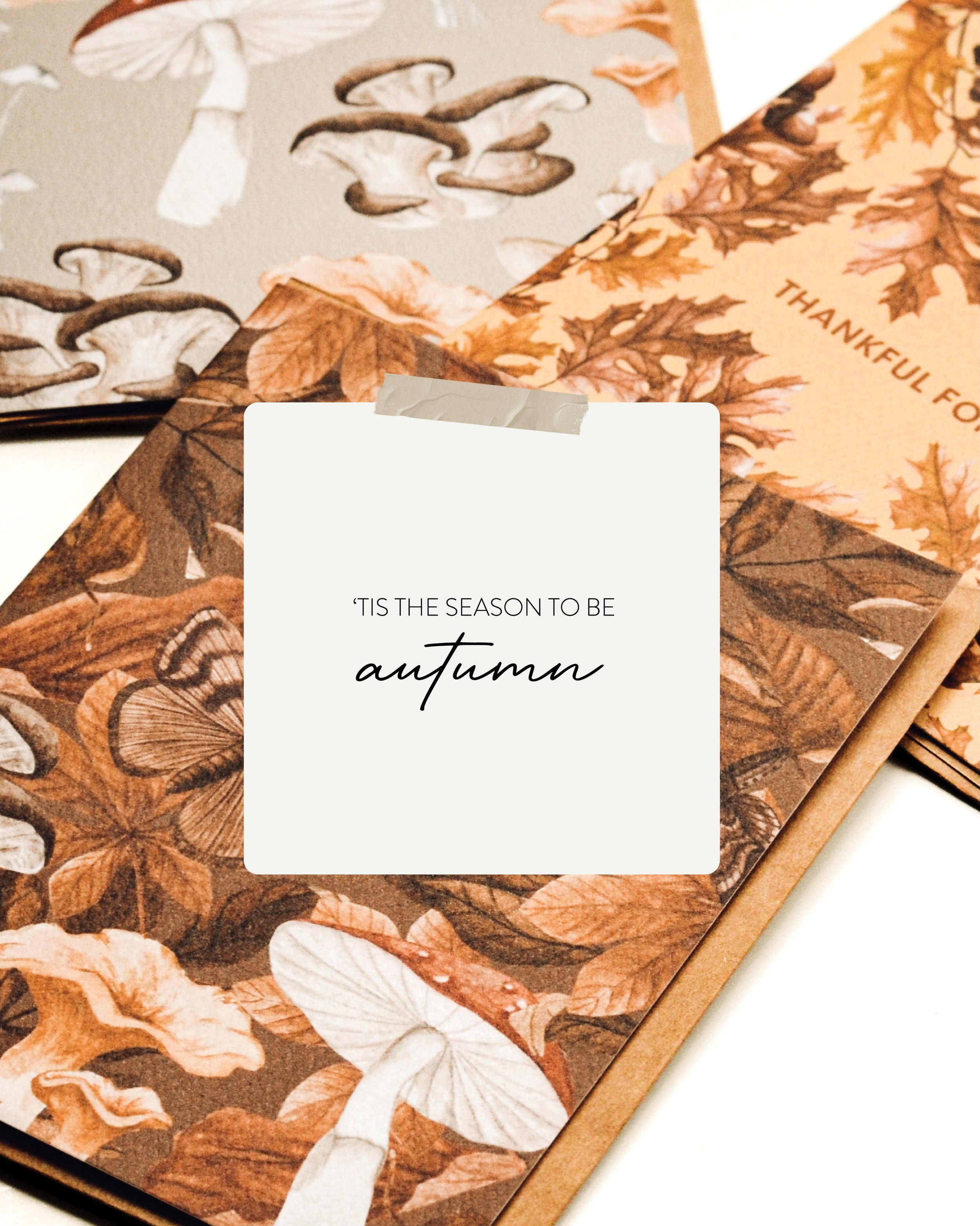 Tis the season to be Autumn! Happy September, my fall lovers. 🍂🍁

Fall cards are now on sale on the site to treat you to the start of the &lsquo;ber months! ✨