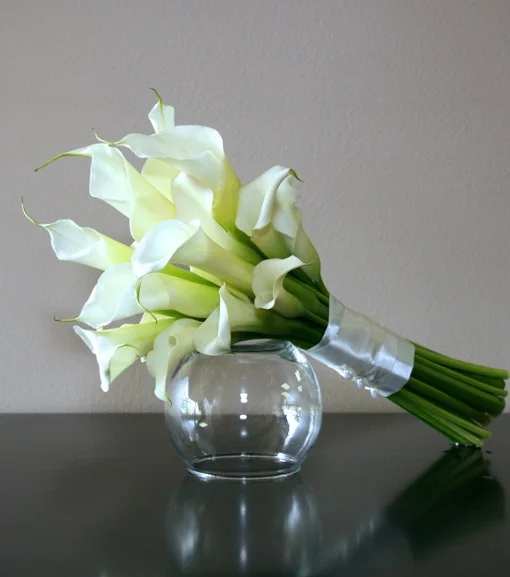 Cala-Lilly-Bride-COVER-510x577.jpg