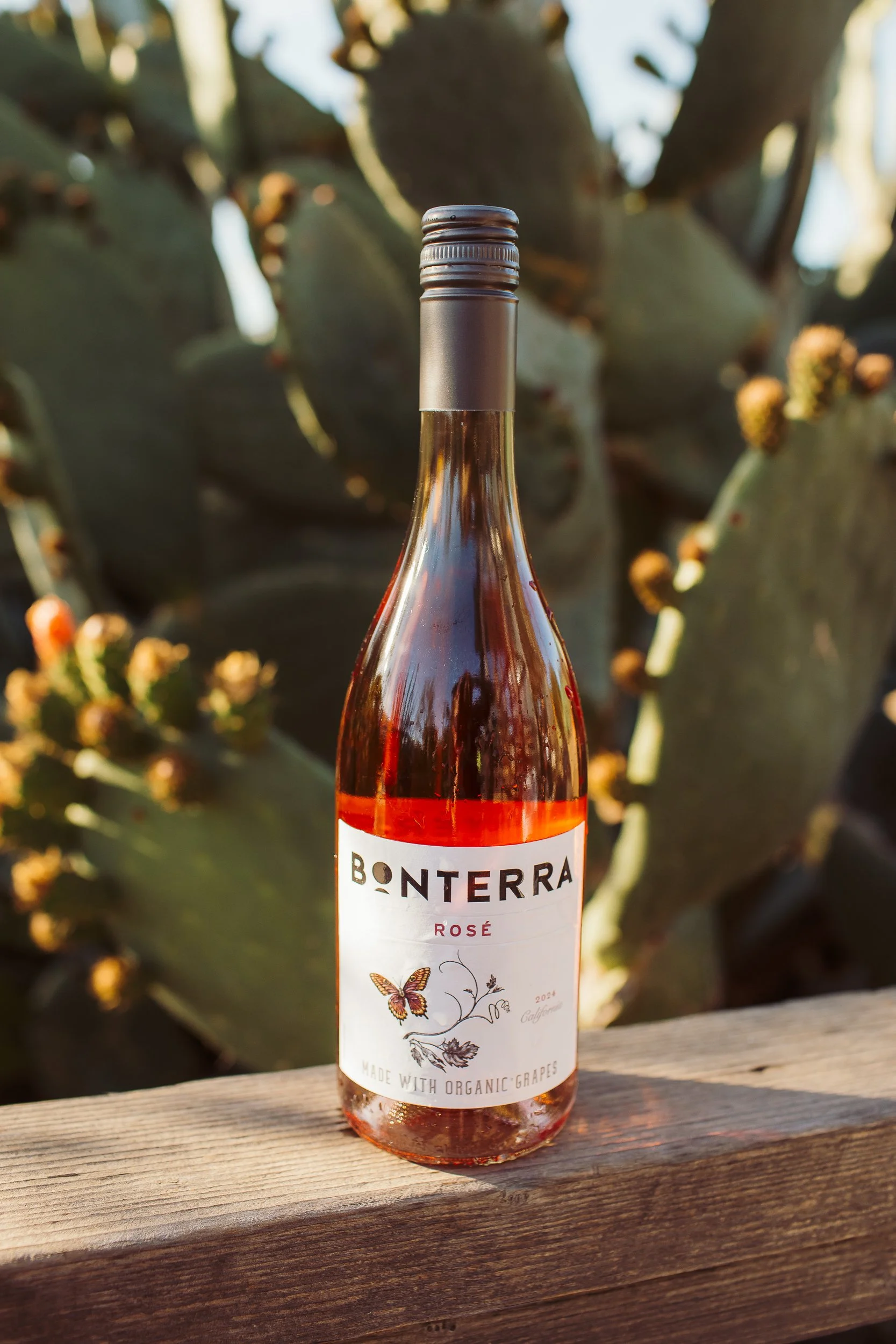 WineBonterra-15.jpg