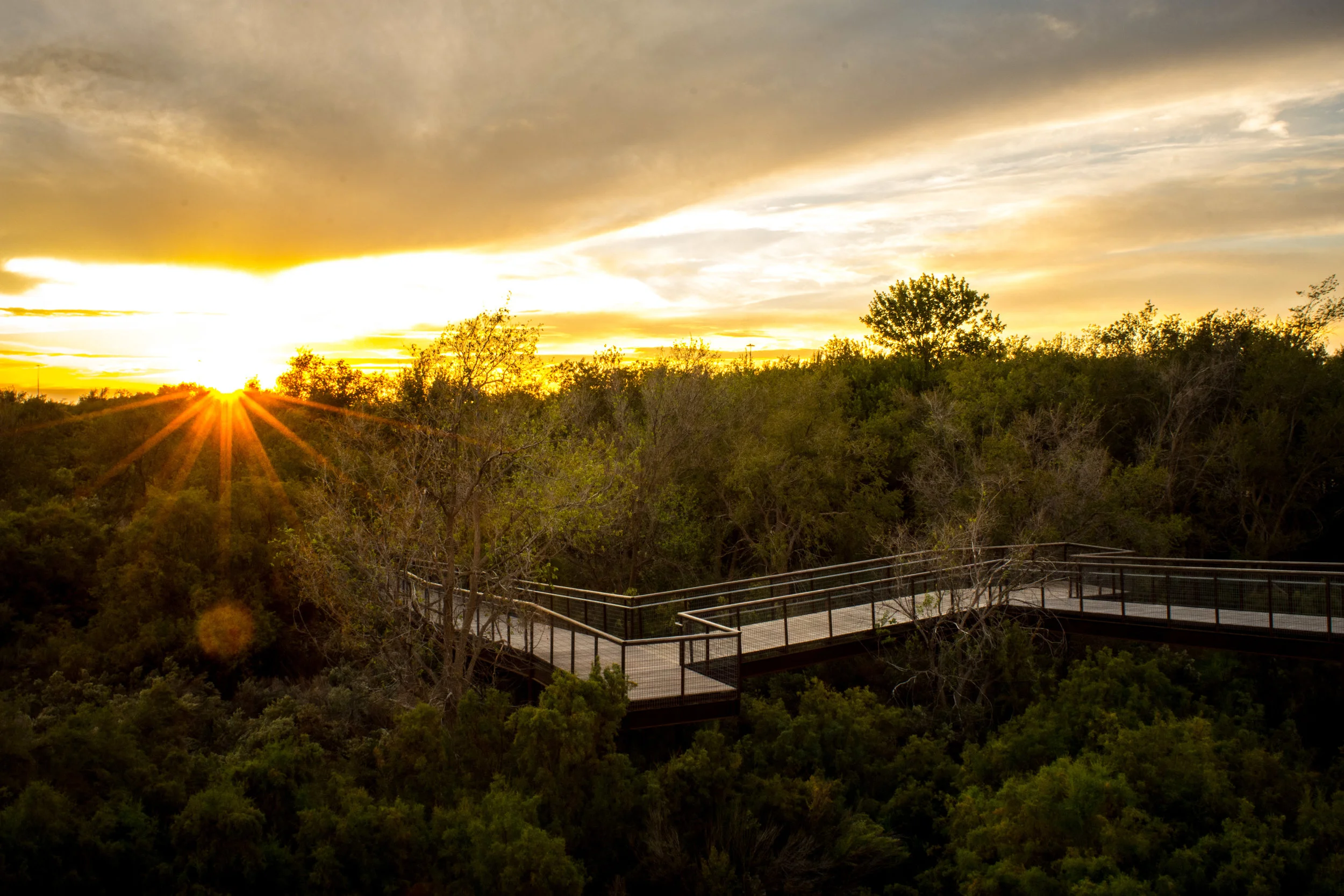 THREE REASONS WHY BOARDWALKS ARE YOUR BEST OPTION