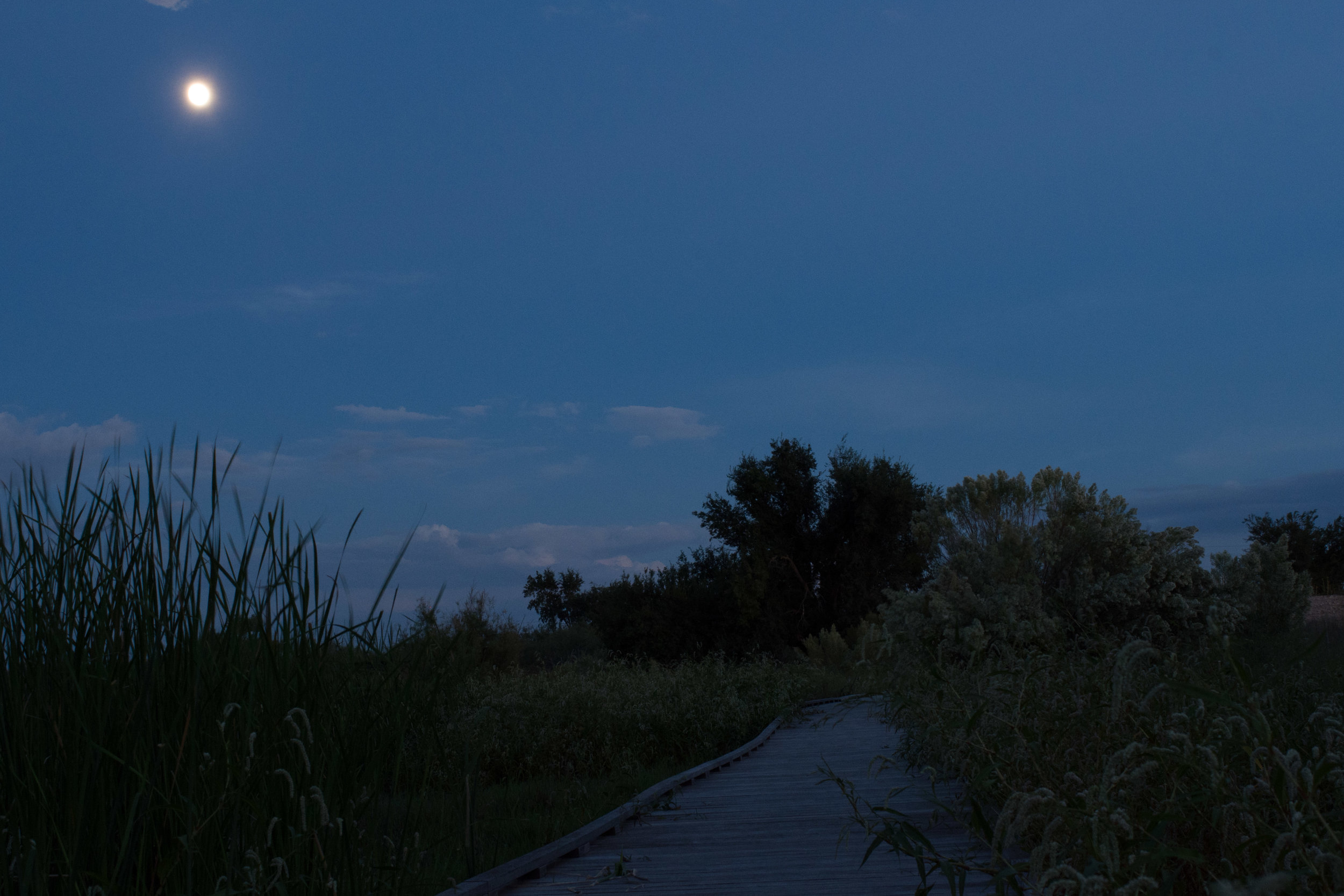 PARKS AFTER DARK 