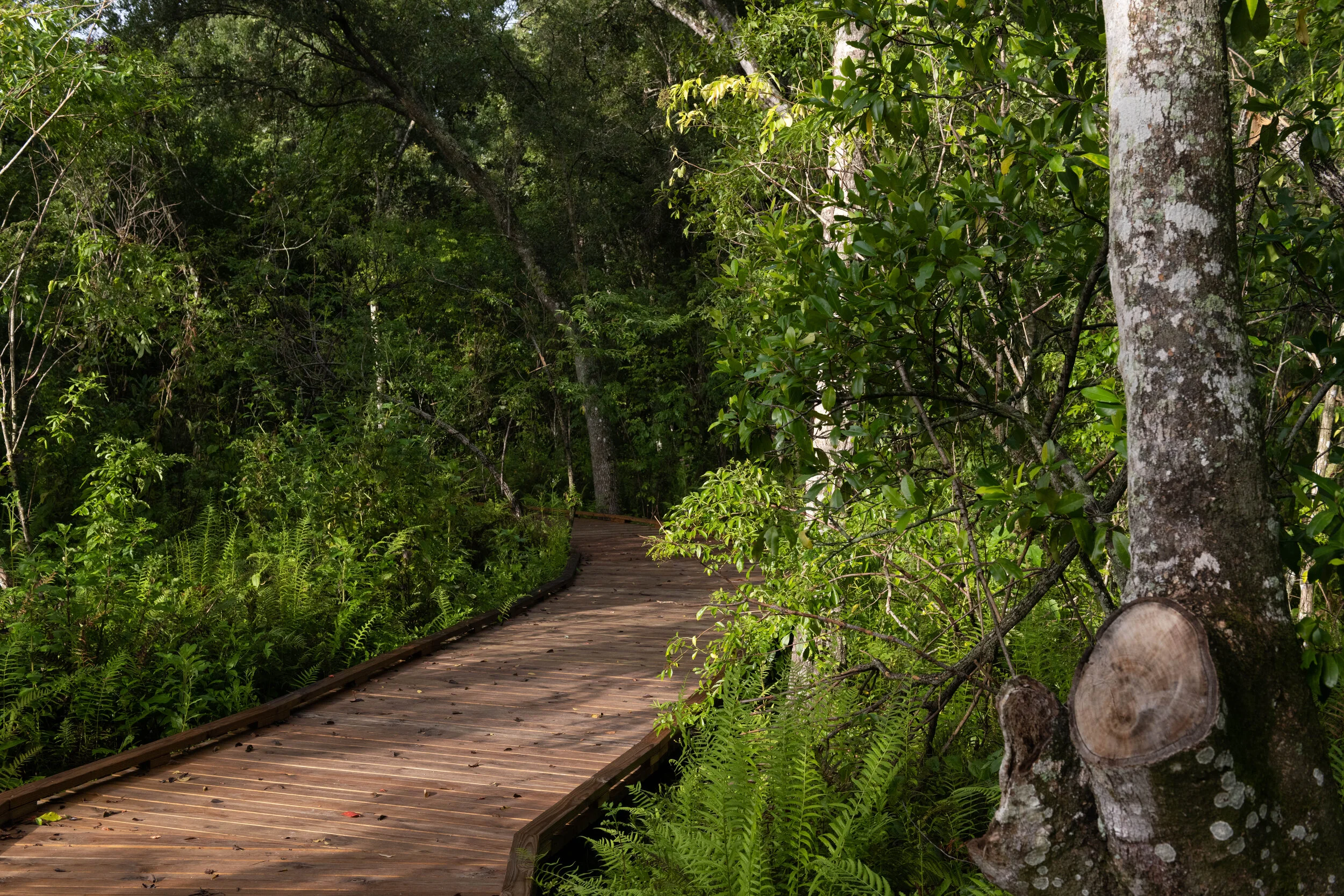 PRESERVE YOUR PARK