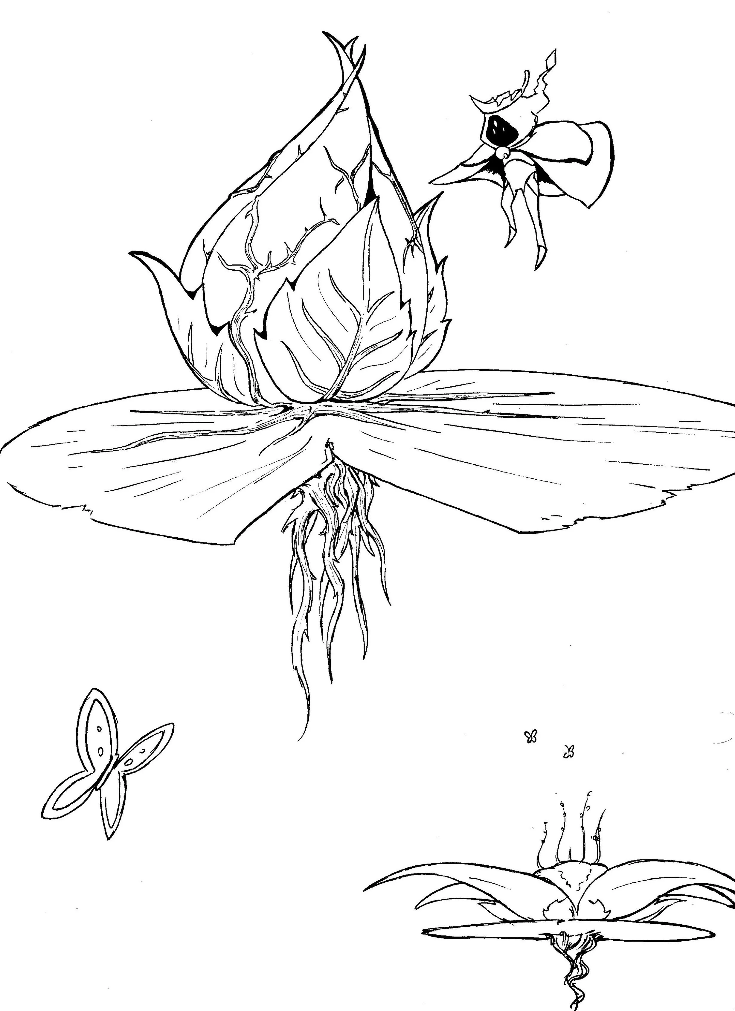 Lily+Pad.jpeg.jpg