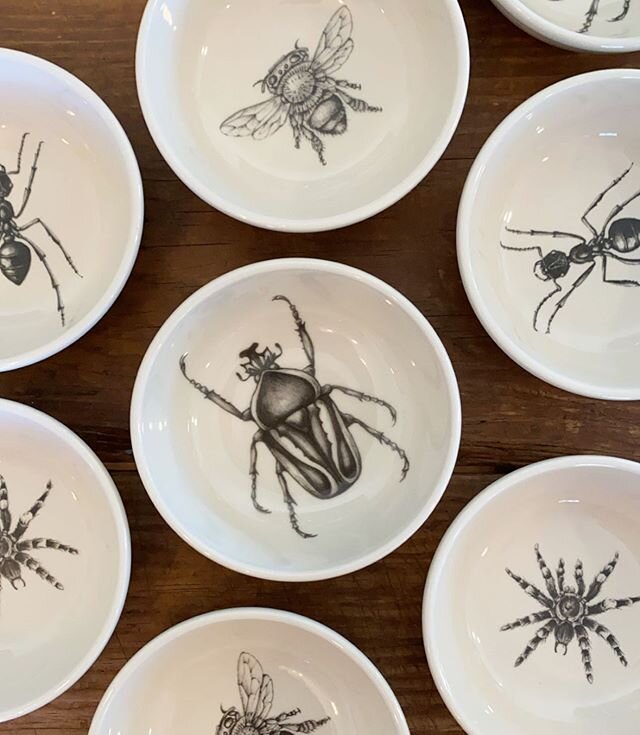 I am really #ANTi big cereal bowls 🐜 and #MOTHt really are just far too #BUG 🦗 So #BEElieve me 🐝 when I say nothing #BEETs these by @laurazindeldesign 🐛🦟 available now on the #WEB 🕸 Plus added bonus: they look like a simple bowl when full 🥣 bu