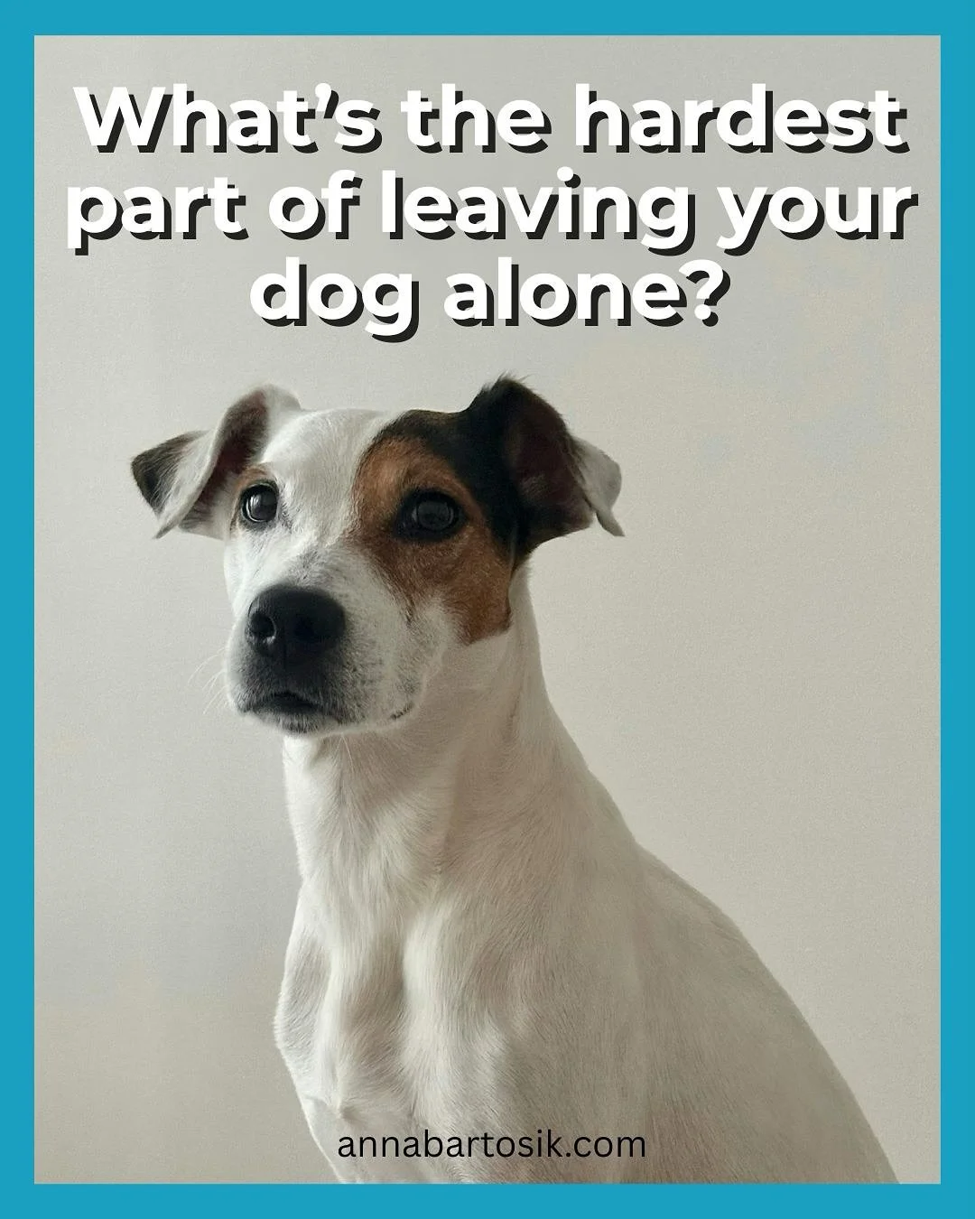 Leaving your dog at home can be tough for both of you. 💙

What&rsquo;s the hardest part for you?