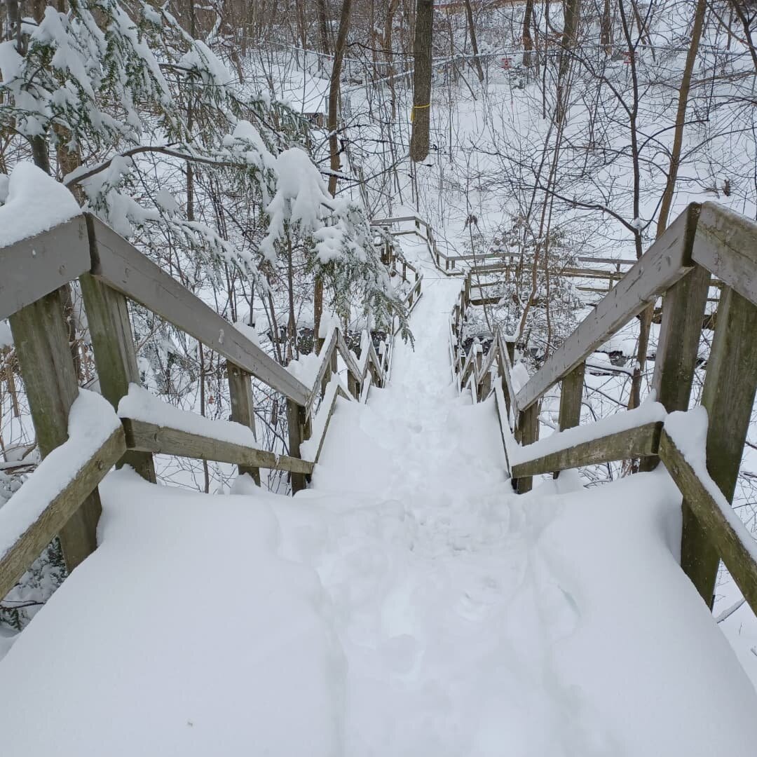 SNOW DAY!