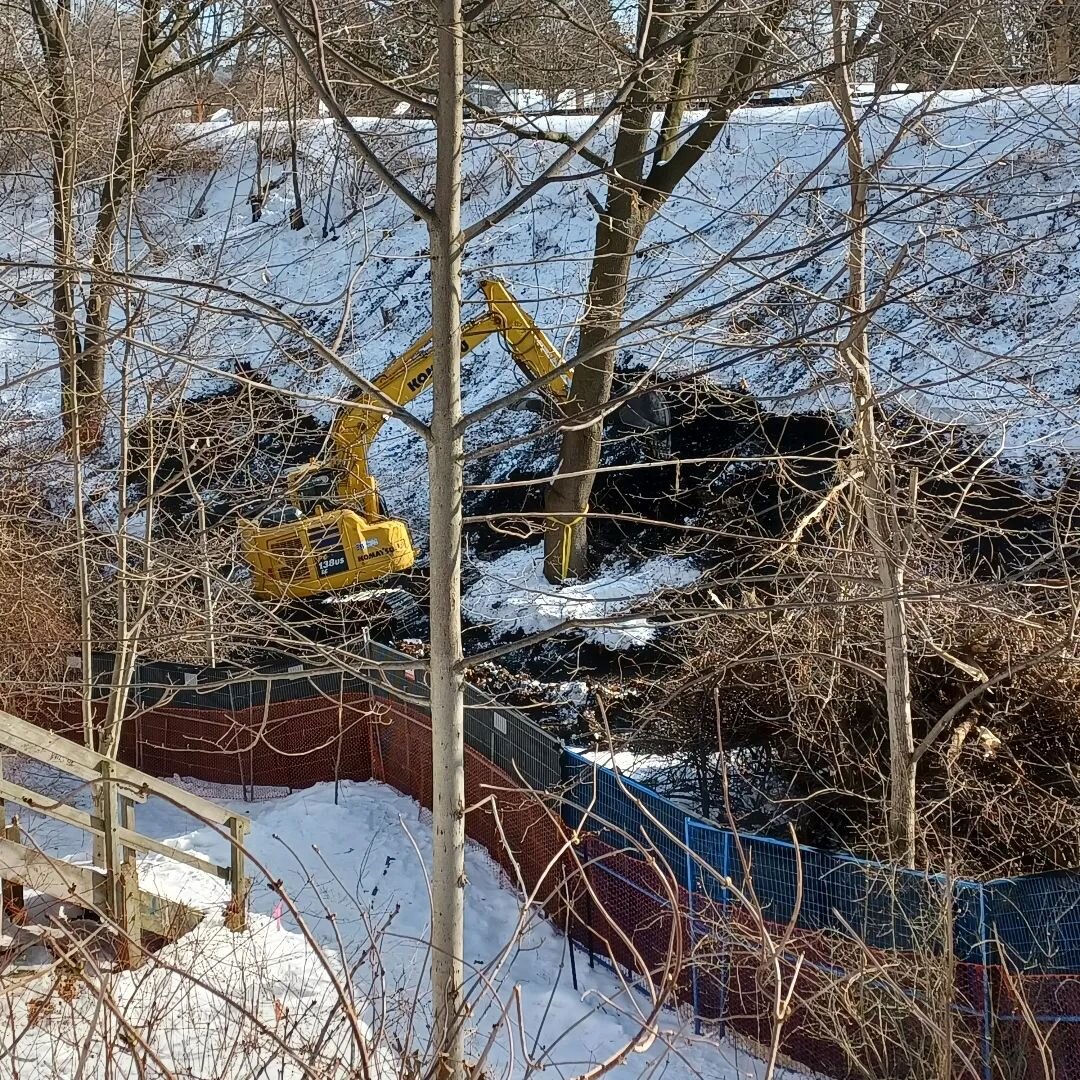 Work in the ravine has started. Taking down trees. @metrolinx , according to AMA there is going to be a &quot;working group for a restoration plan&quot;. Well, where is it? 

@metrolinx 
@bradfordgrams 
@rimabernsm 
@cbc 
@beachmetro 
@savejimmie 
@d