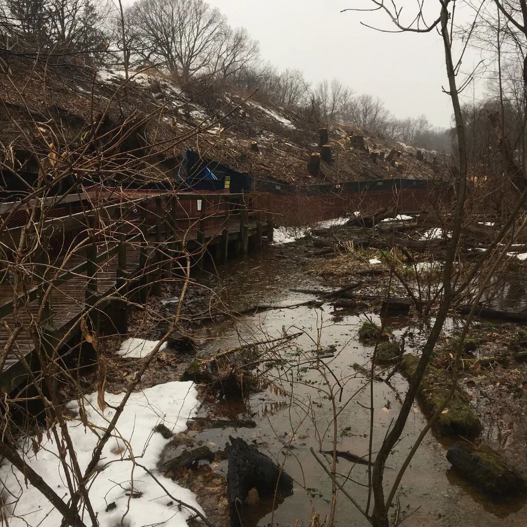 Why is the soil being allowed to erode into the creek? What is @Metrolinx plan to mitigate this?
Soil eroding into the creek negatively affects the water quality, the creatures that depend on the water to survive, the stability of the slope itself wh