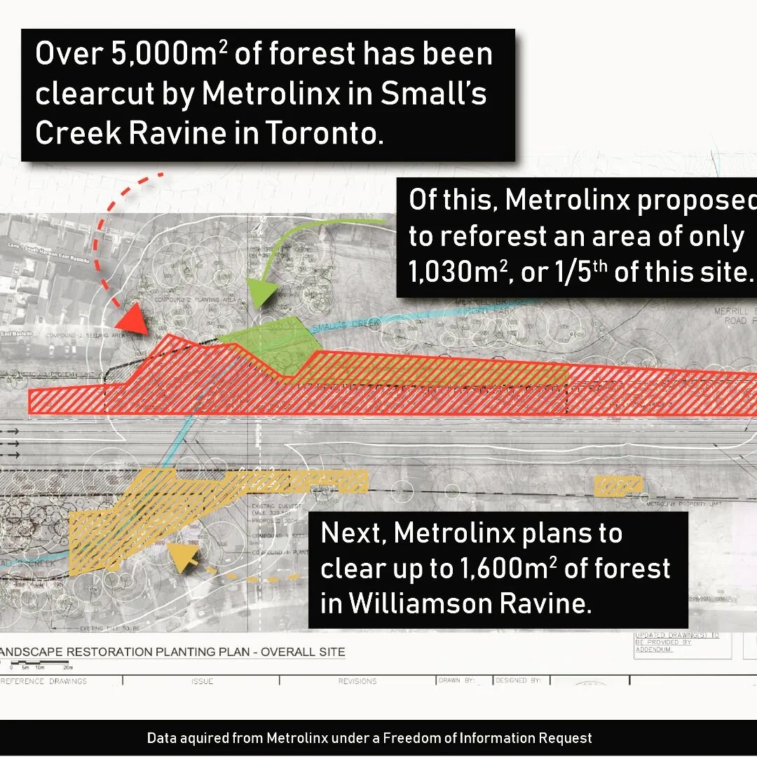 Telling graphic showing what @metrolinx plan has wrought on the forest in a precious ravine. The red hatching shows what has been cut already the orange shows what will be cut. The green shows their original plan for reforestation...1/5th of the area