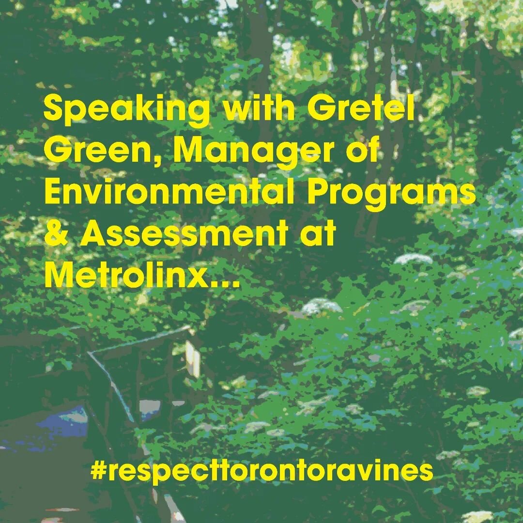 Excerpts from a @Mattrolinx interview with Gretel Green, Manager of Environmental programs and Assessment @Metrolinx about @smalls_creek_ravine.
.
.
.
.
.
@trca_hq 
@bradfordgrams @rimabernsm @beynate @marymargaretbey @abhijeetmanaygpo @alisametcalfe