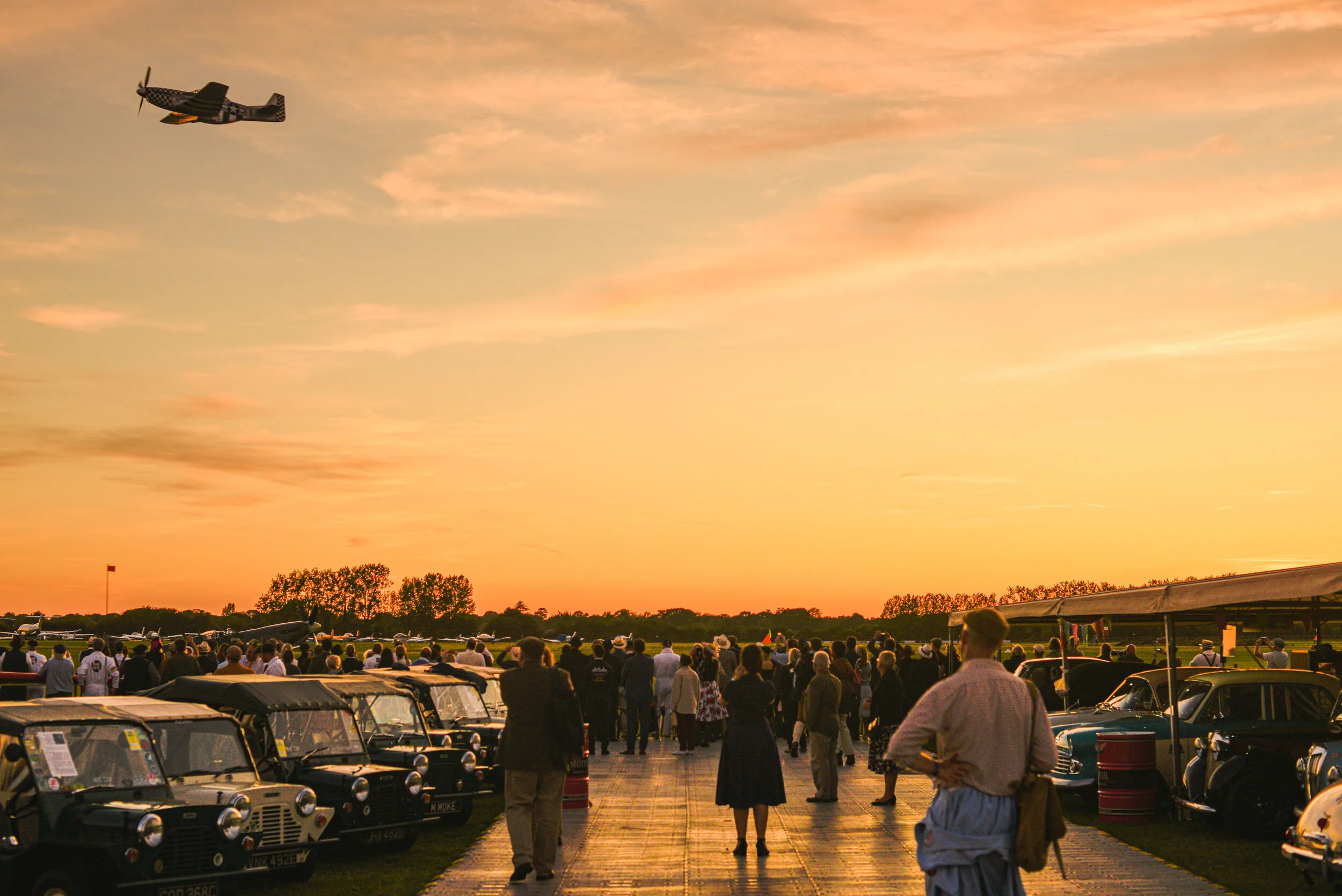 PS_SUNSET PADDOCKS_7.JPG