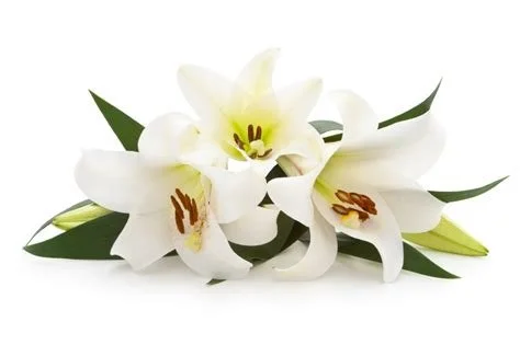 Funeral for Rev. Shawn Brandon