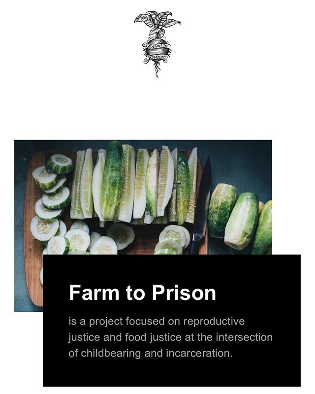hey y&rsquo;all. our blog will now be updated weekly. check it out at farmtoprison.org 🖤