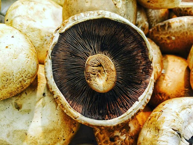 #mushrooms #plantbased