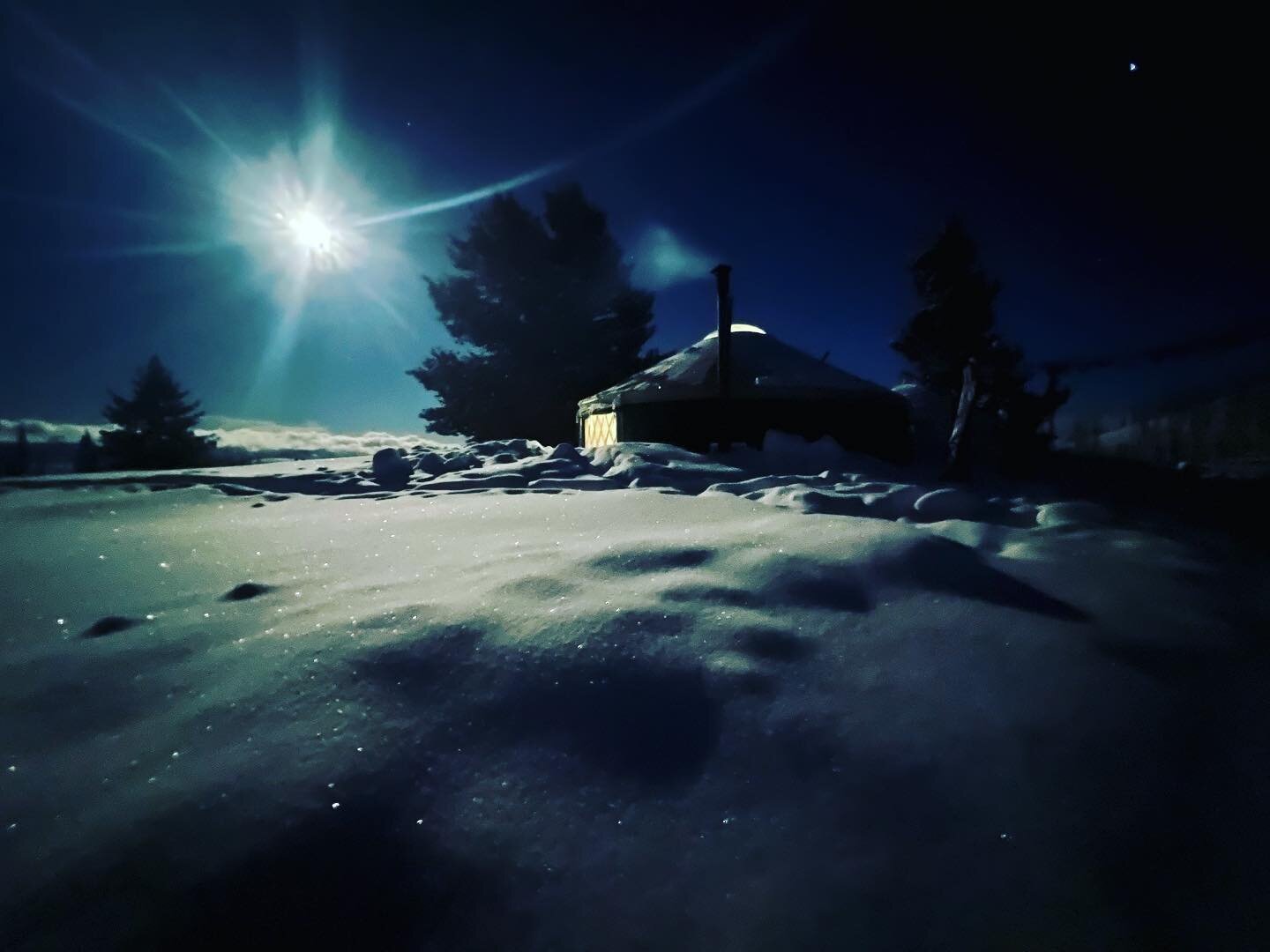 Midnight Moonlight #coyoteyurt