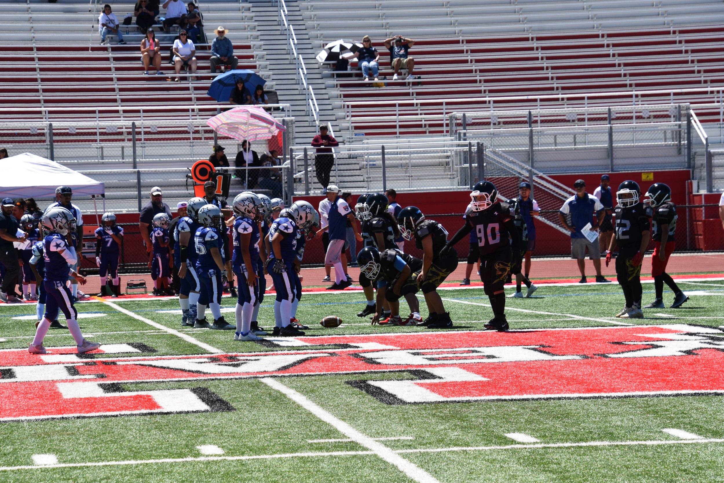 DSC_8715.jpg