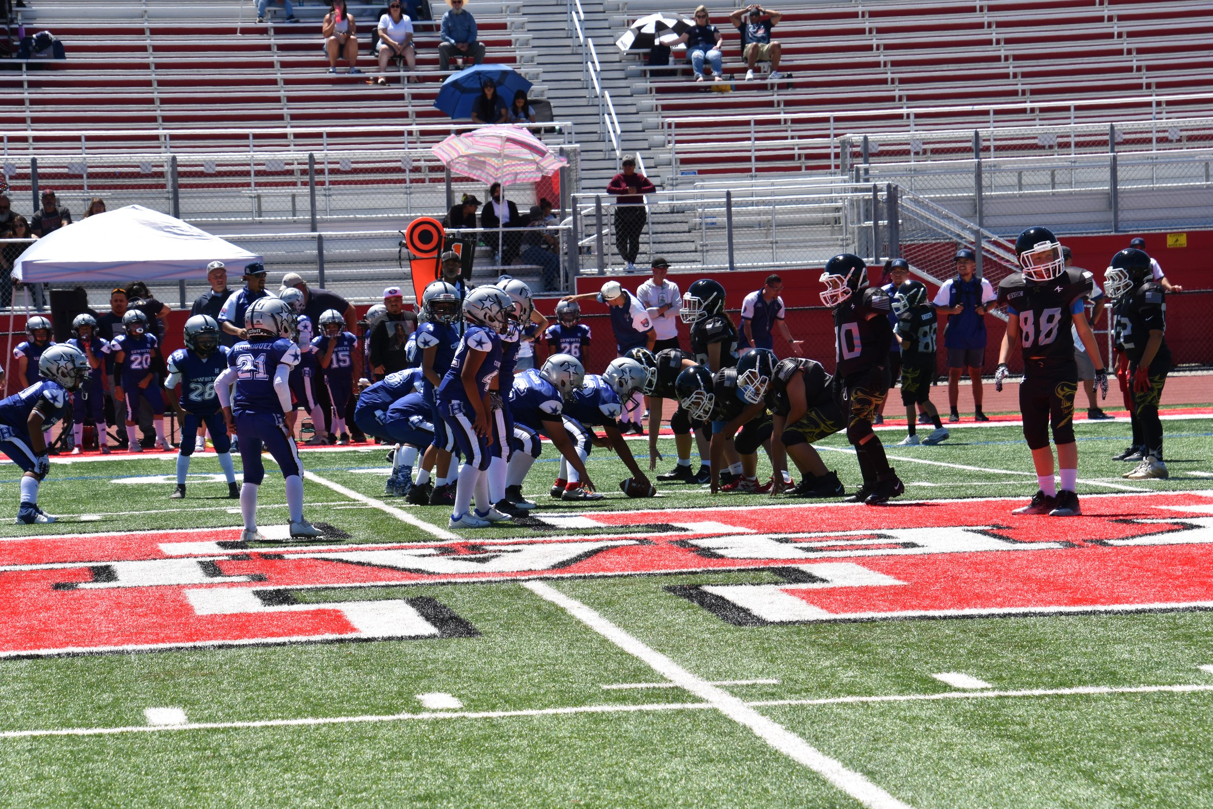 DSC_8716.jpg