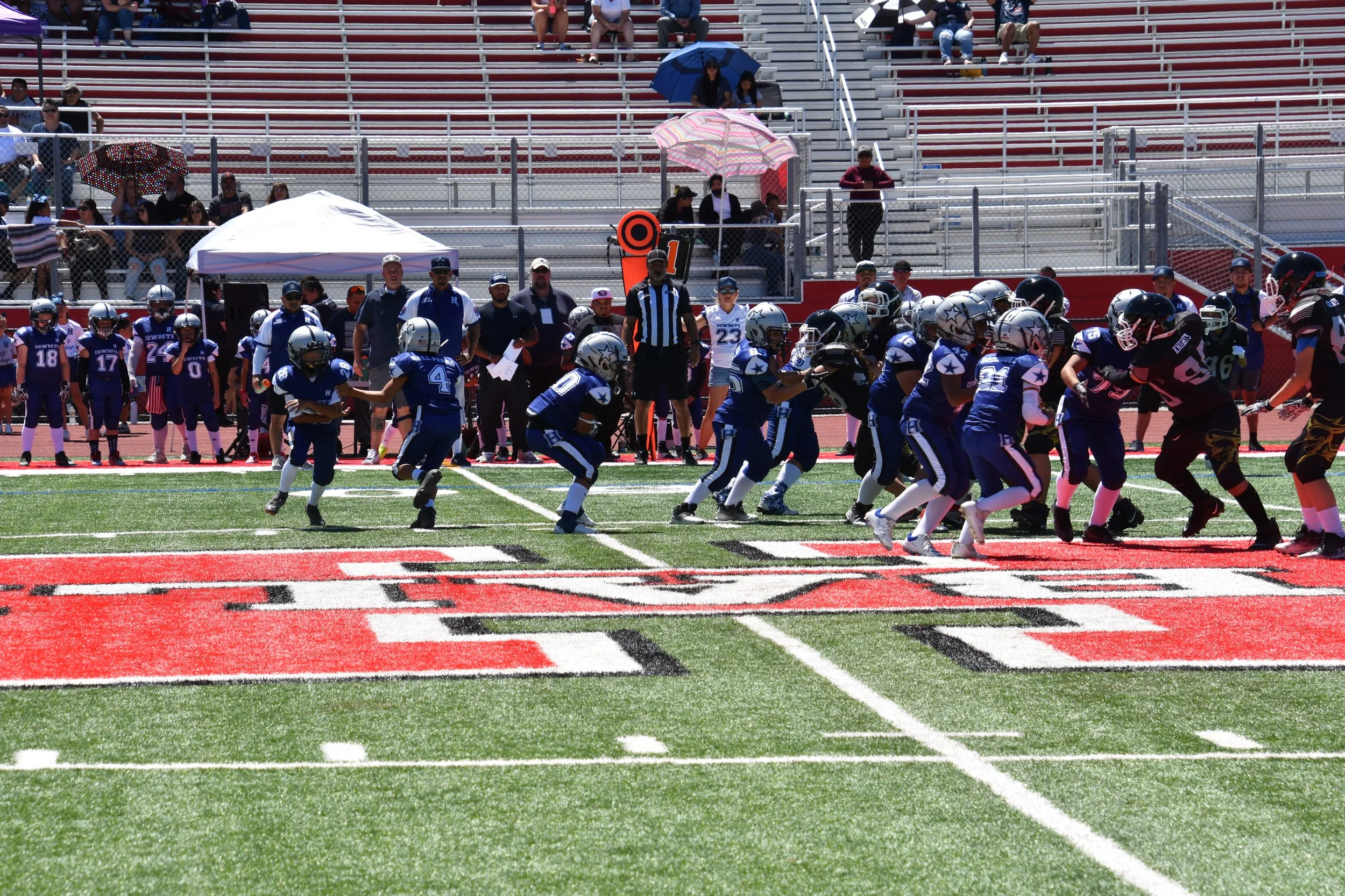 DSC_8717.jpg