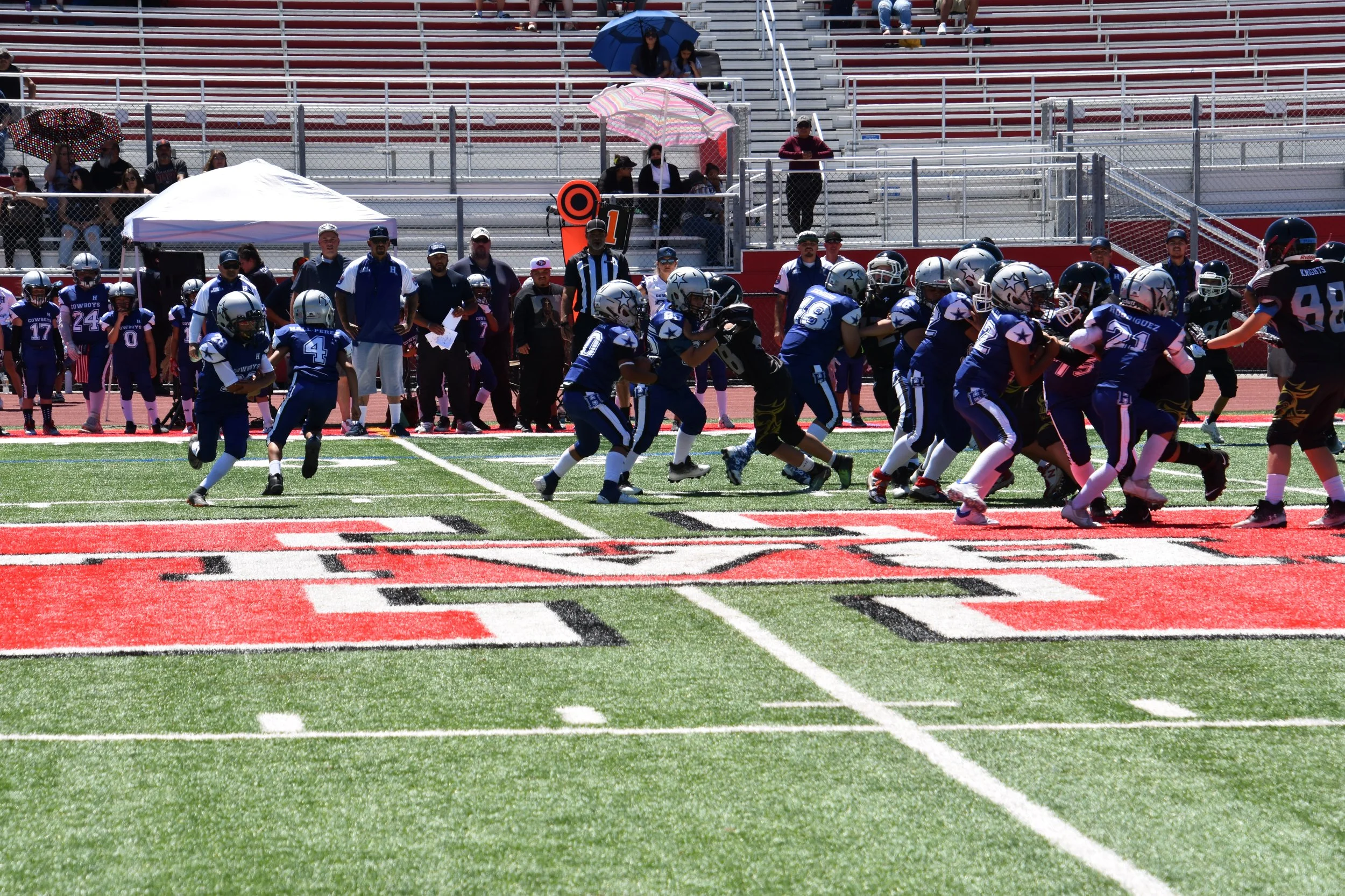 DSC_8719.jpg