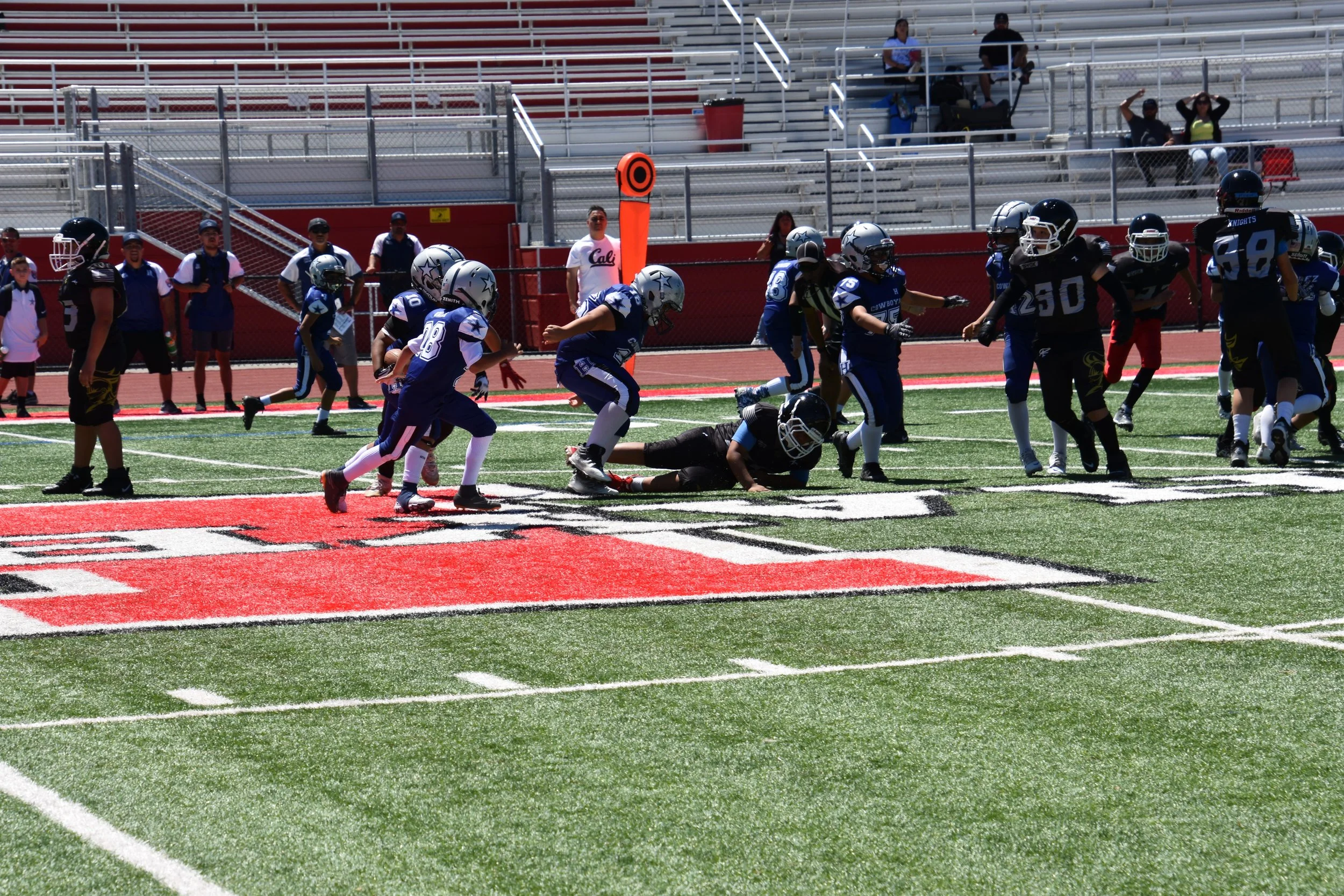 DSC_8726.jpg