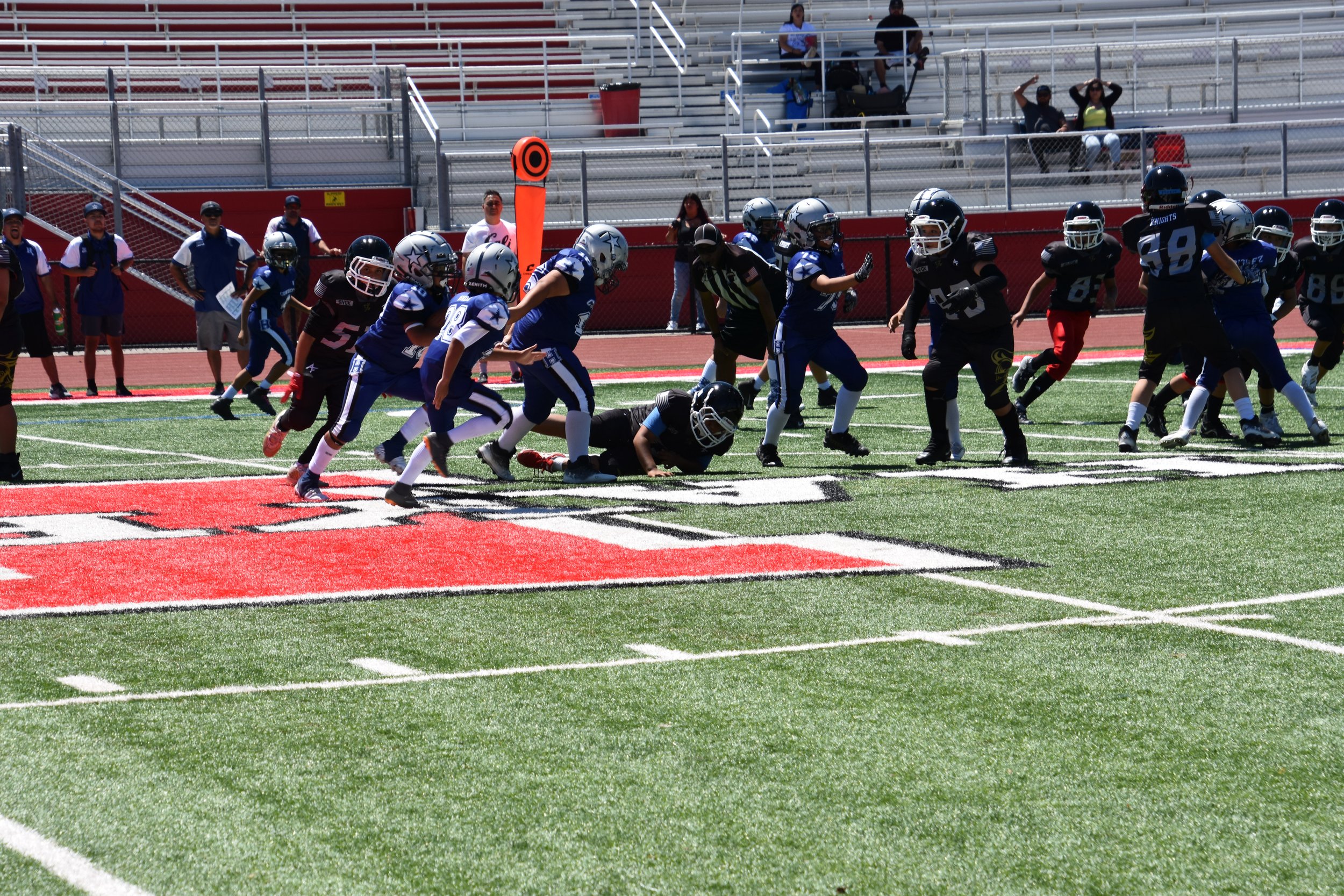 DSC_8727.jpg