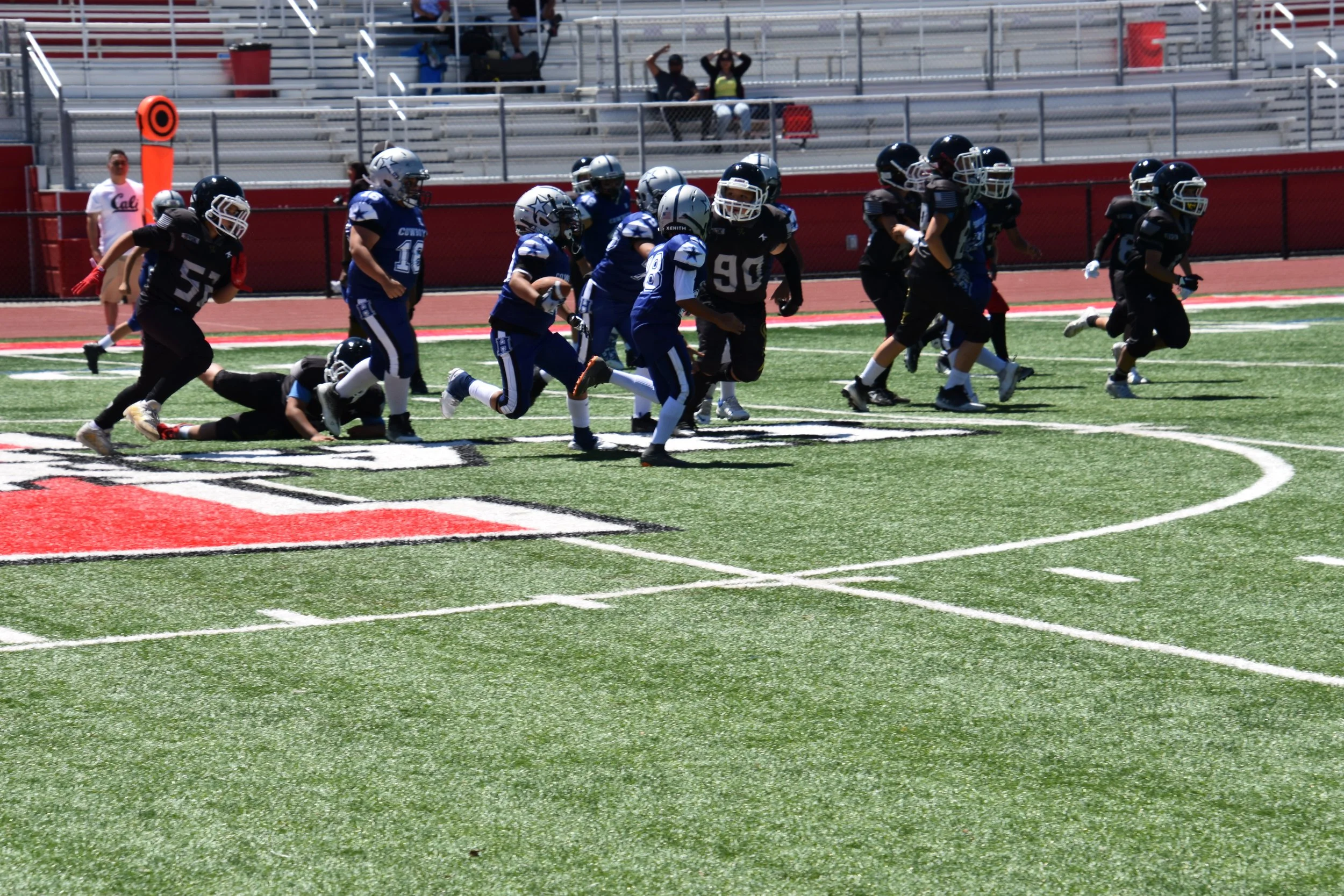DSC_8729.jpg