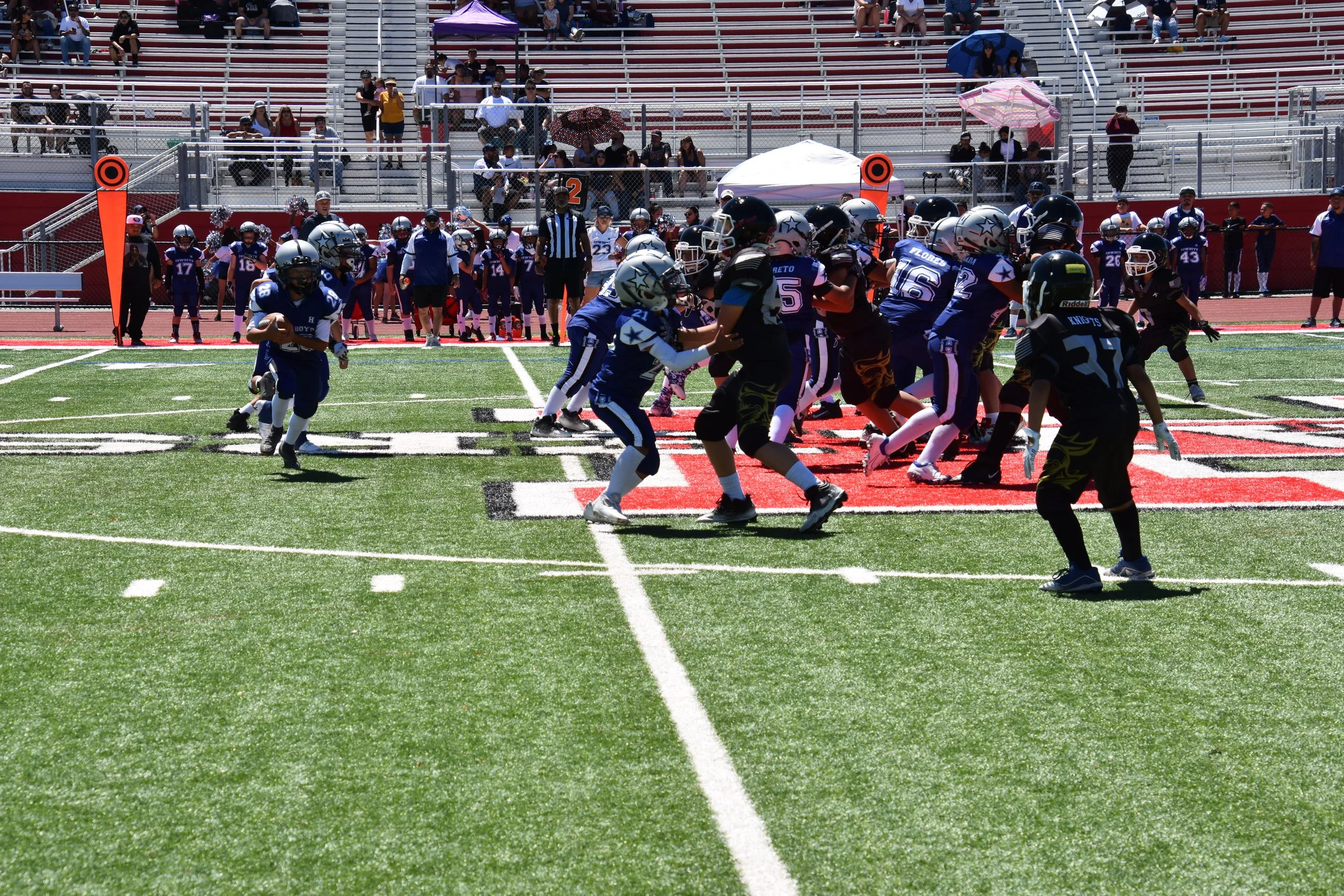 DSC_8771.jpg