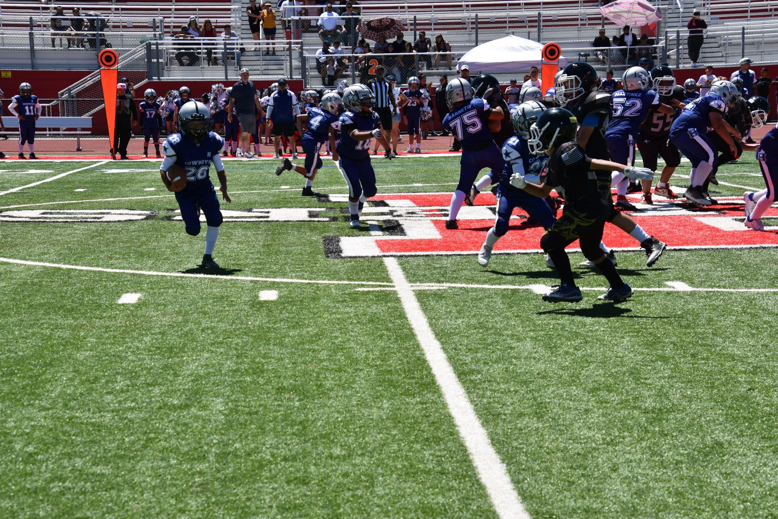 DSC_8774.jpg